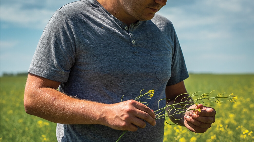 Le prix des terres agricoles en Montérégie encore en hausse en 2022