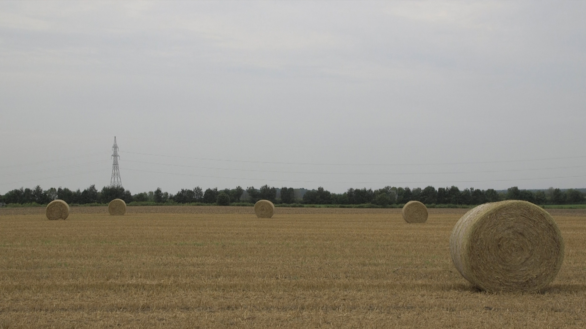 Projet D Oliennes Dans La Mrc D Arthabaska La Majorit Des Secteurs