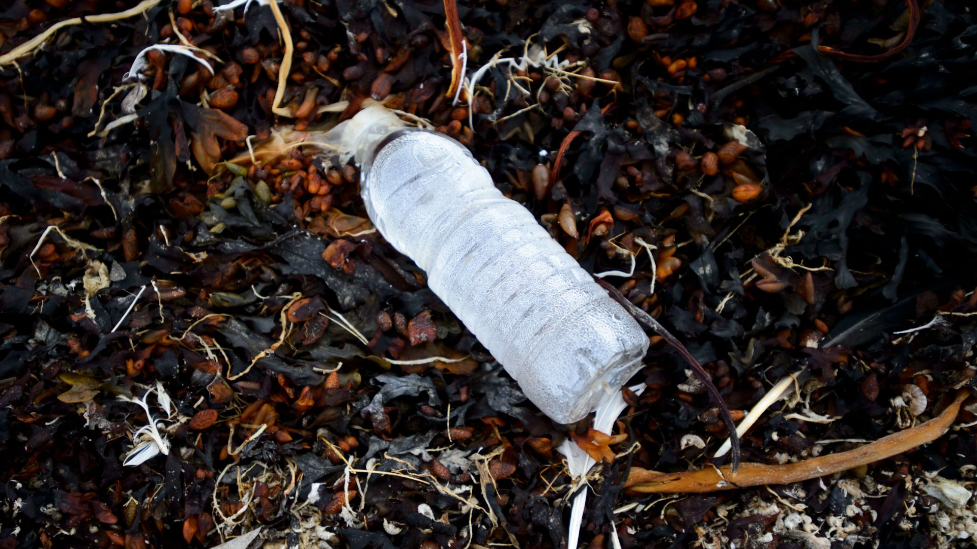 348 000 tonnes de déchets plastiques ont été rejetées dans l’environnement entre 2012 et 2020.