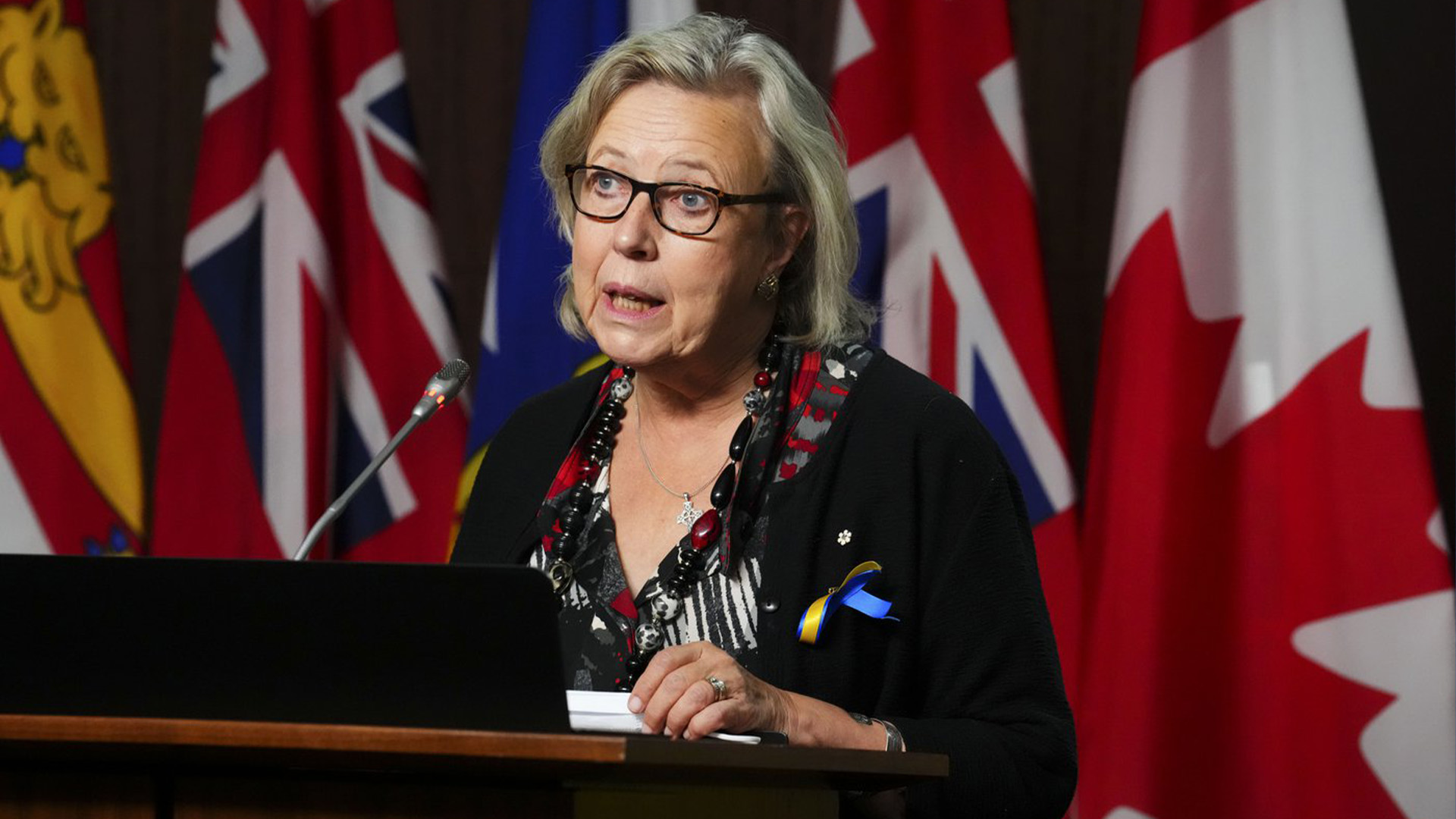 La candidate à la direction du Parti vert Elizabeth May prend la parole lors d'une conférence de presse sur la colline du Parlement à Ottawa le jeudi 29 septembre 2022.