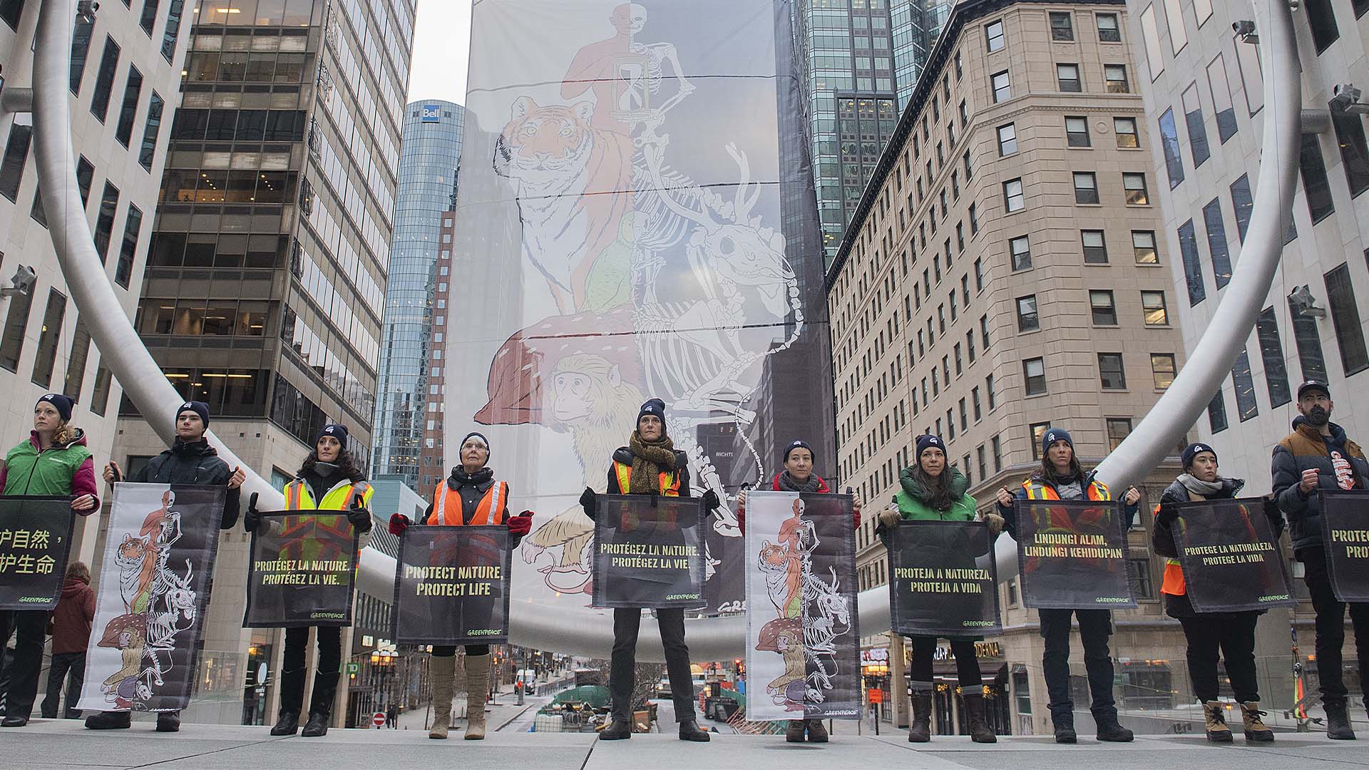 Des militants de Greenpeace brandissent des pancartes après avoir hissé une banderole intitulée « Protégez la nature, protégez la vie », à Montréal, le jeudi 8 décembre 2022, alors que la COP15, la Conférence des Nations Unies sur la biodiversité, se poursuit. 