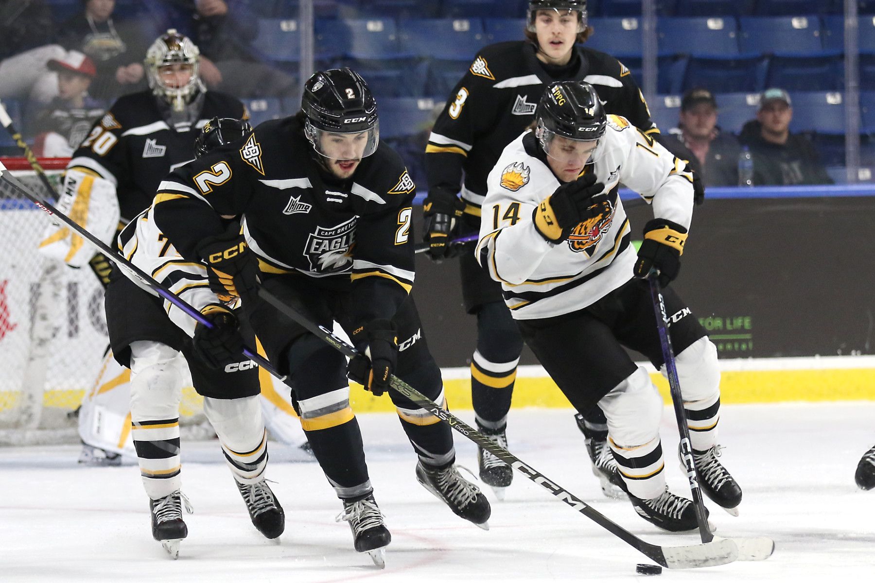 Les Huskies sacrifient trois sélections au repêchage pour mettre la main sur le défenseur de 18 ans François-James Buteau.