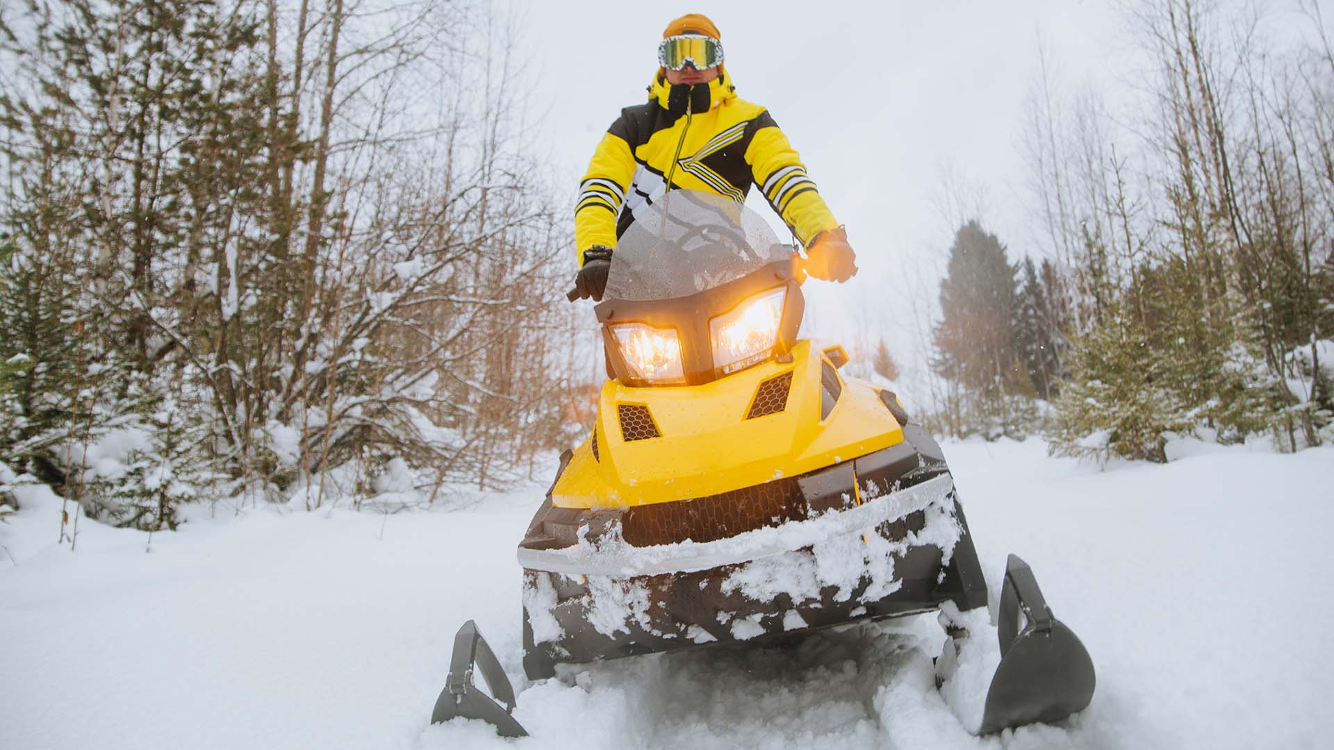 La tempête hivernale de vendredi aura fait au moins quelques heureux.