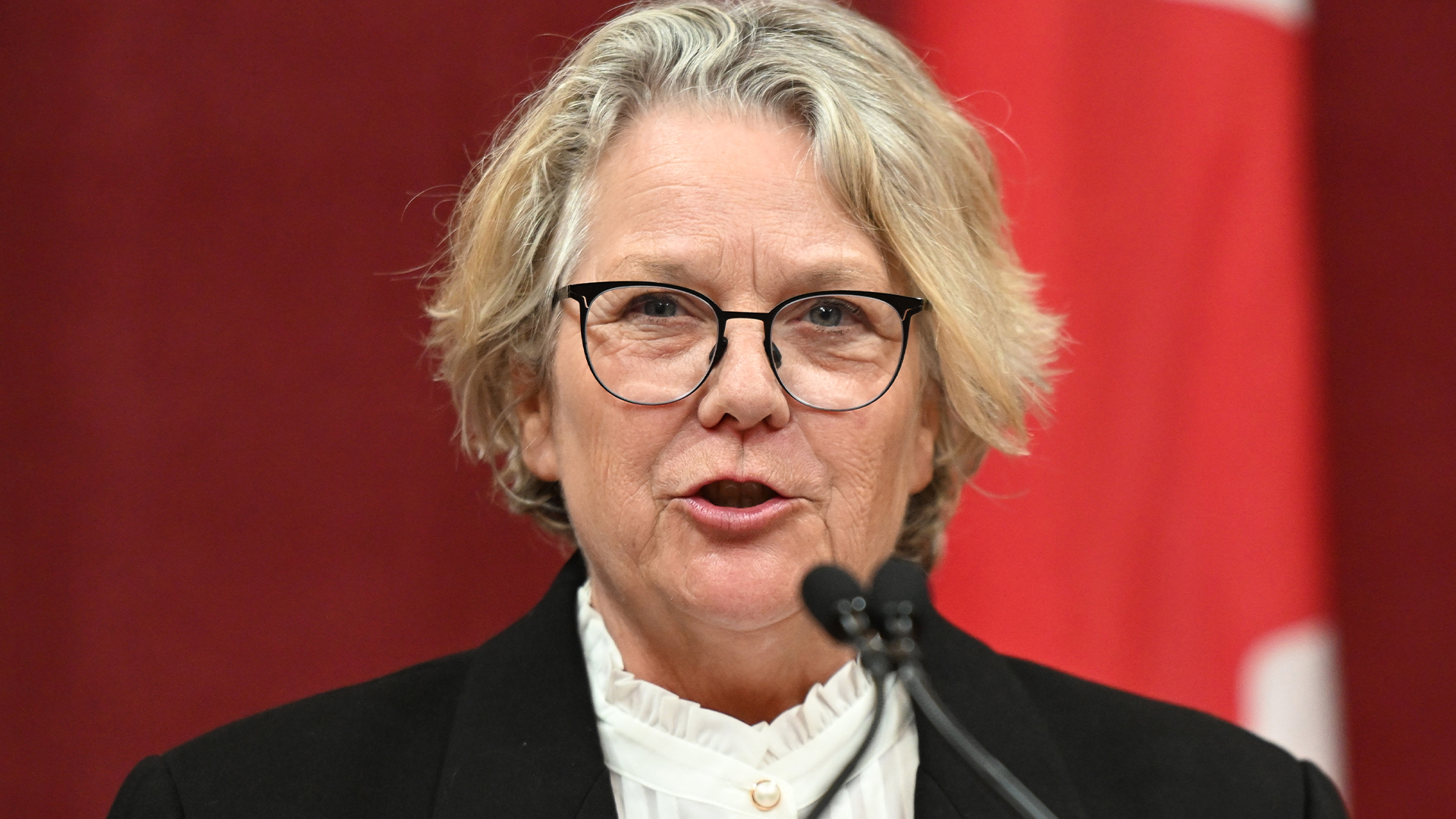 Christine Fréchette, en charge de l'Immigration, de la Francisation et de l'Intégration, a annoncé une aide financière d'urgence de 3,5 millions $ pour soutenir les demandeurs d'asile..