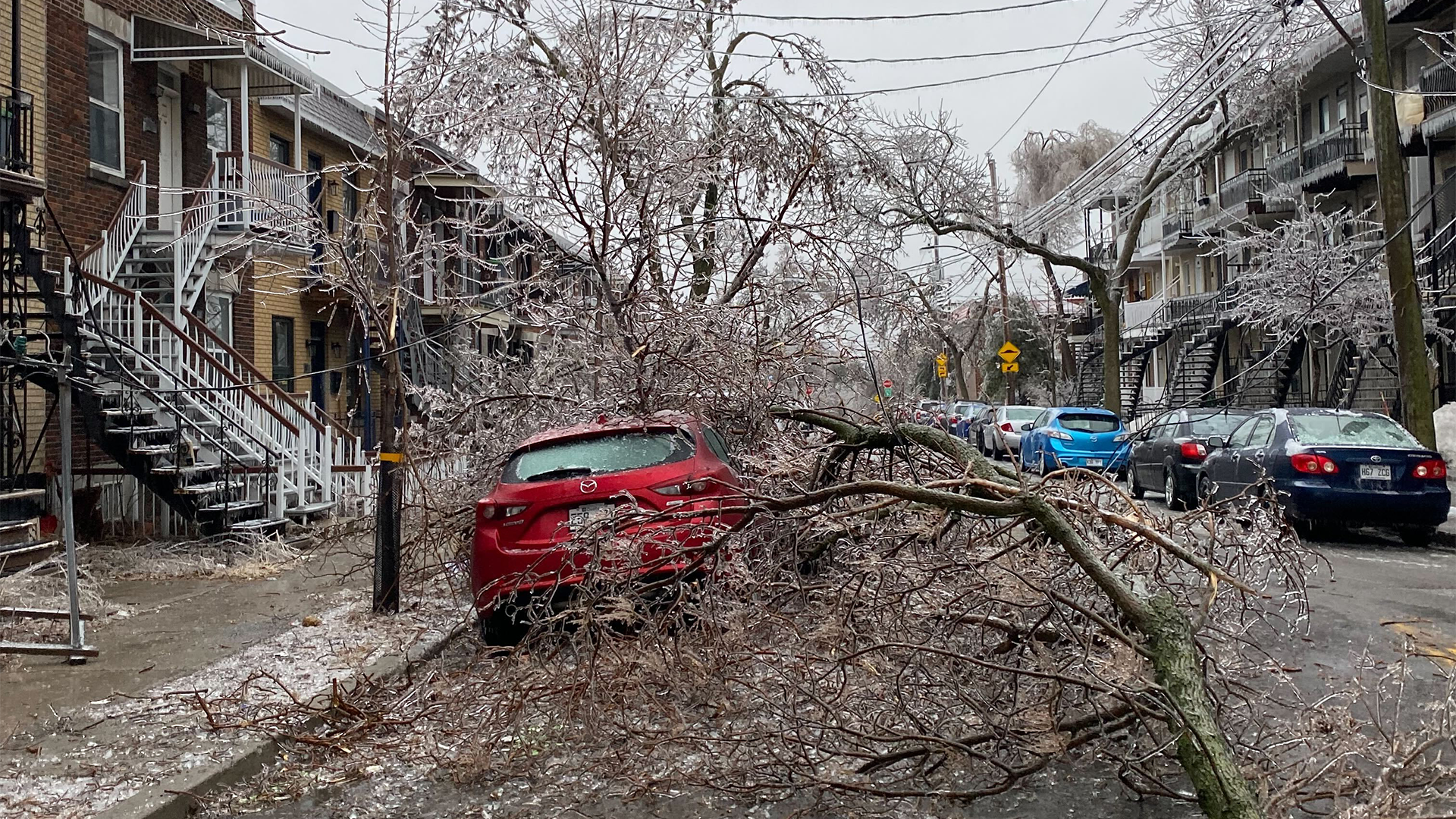 La Ville de Montréal n'a pas été épargnée par les précipitations de verglas qui se sont abattues sur la province, mercredi.        