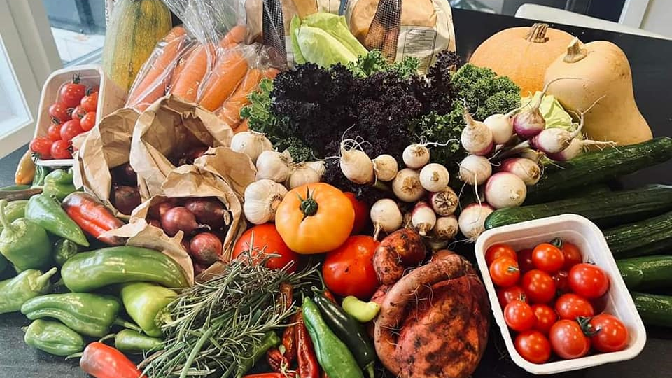 Un butin de légumes destiné au programme Les P’tites boites à lunch qui a pu être procuré après des activités de financement organisées à La petite école Vision Drummondville en décembre 2022. 