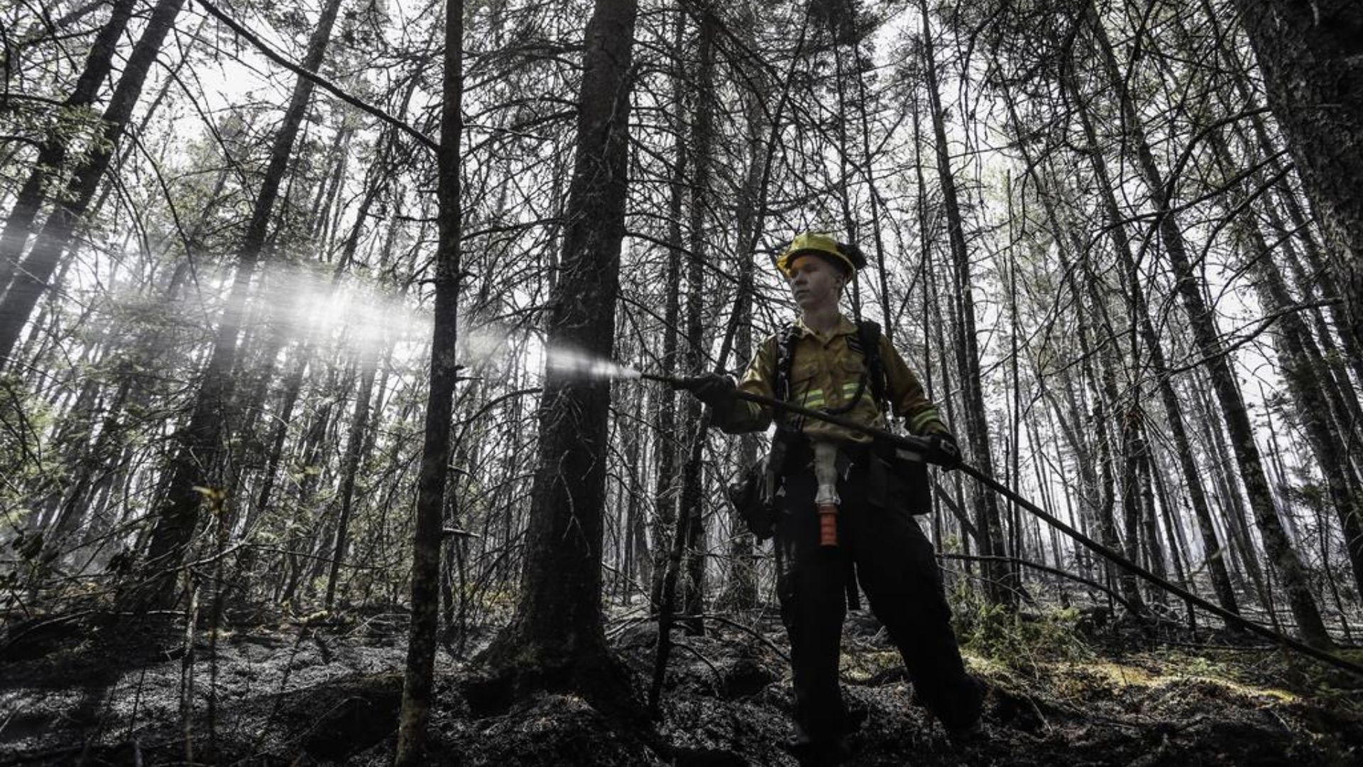 On dénombre pour le moment 214 incendies qui brûlent. Parmi eux, 93 ne sont pas maîtrisés.