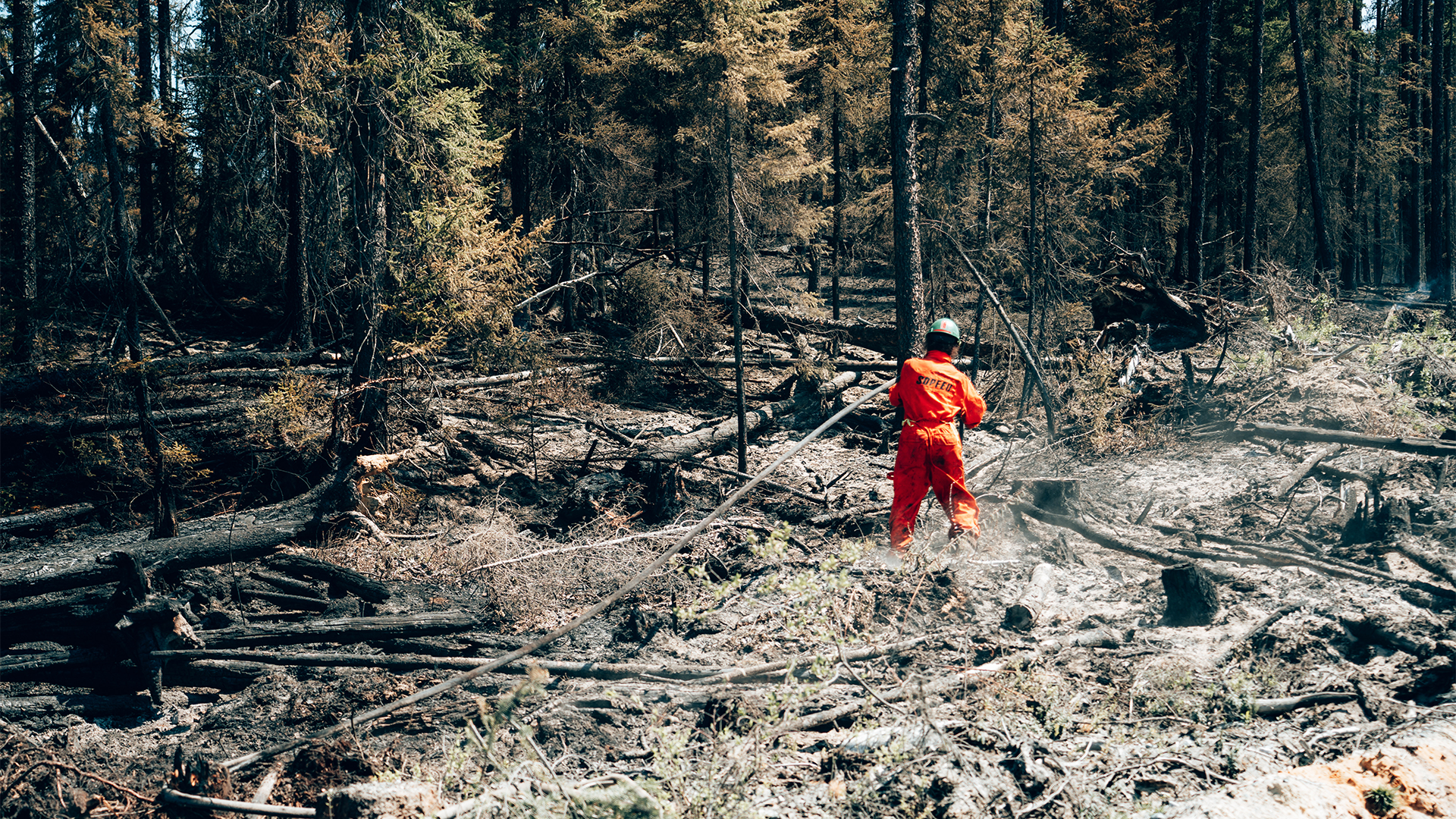 Un pompier travaille dans une forêt à proximité de Chapais, dans le Nord-du-Québec.