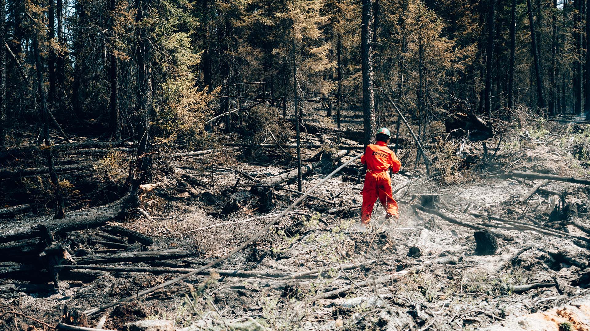 Les pompiers forestiers qui combattent les incendies qui brûlent à travers le pays sont fortement exposés à une fumée qui ressemble de très près à la fumée des cigarettes.