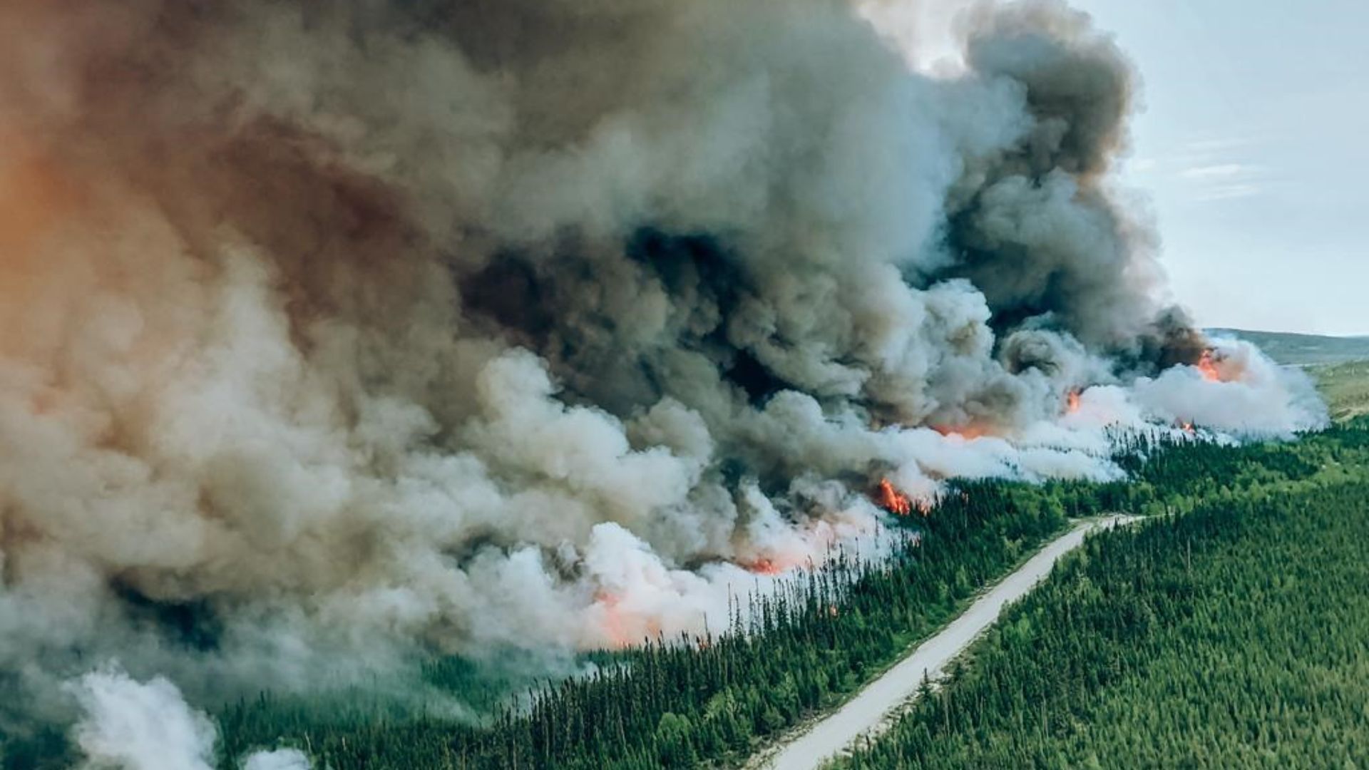 Quelque 133 feux de forêt, dont 12 en zone nordique, sont actifs samedi matin.