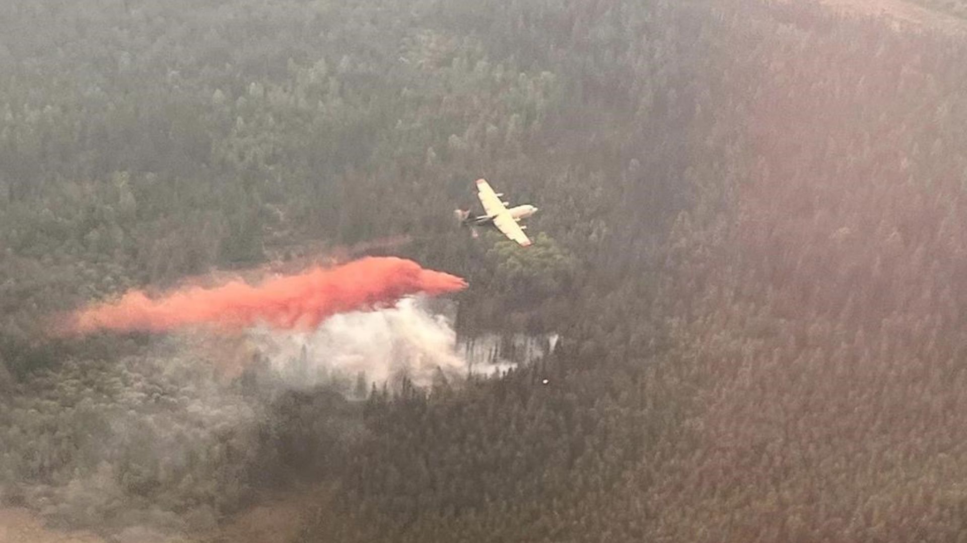 Selon les autorités provinciales de la Colombie-Britannique, l'incendie couvrait 230 kilomètres carrés samedi.