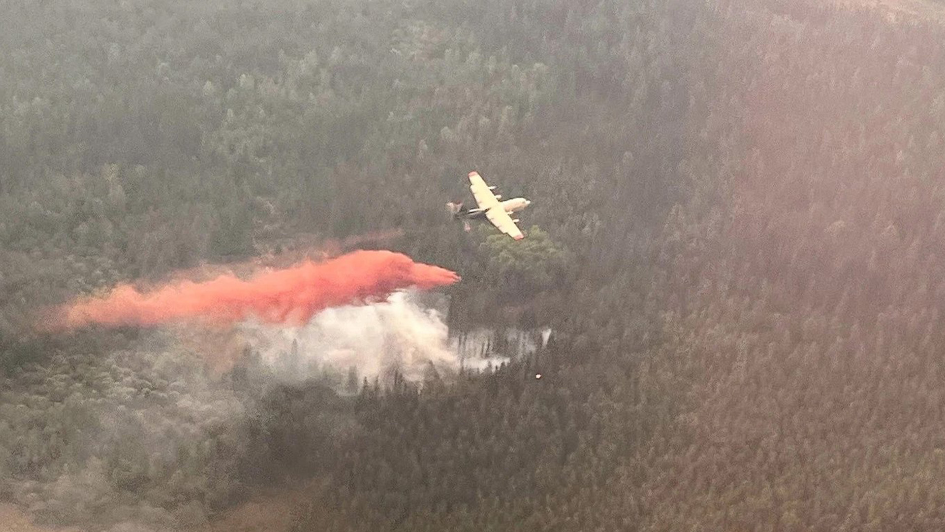 Des pétroliers travaillent sur un feu de forêt près d'Edson, en Alberta, sur une photo du vendredi 9 juin 2023.