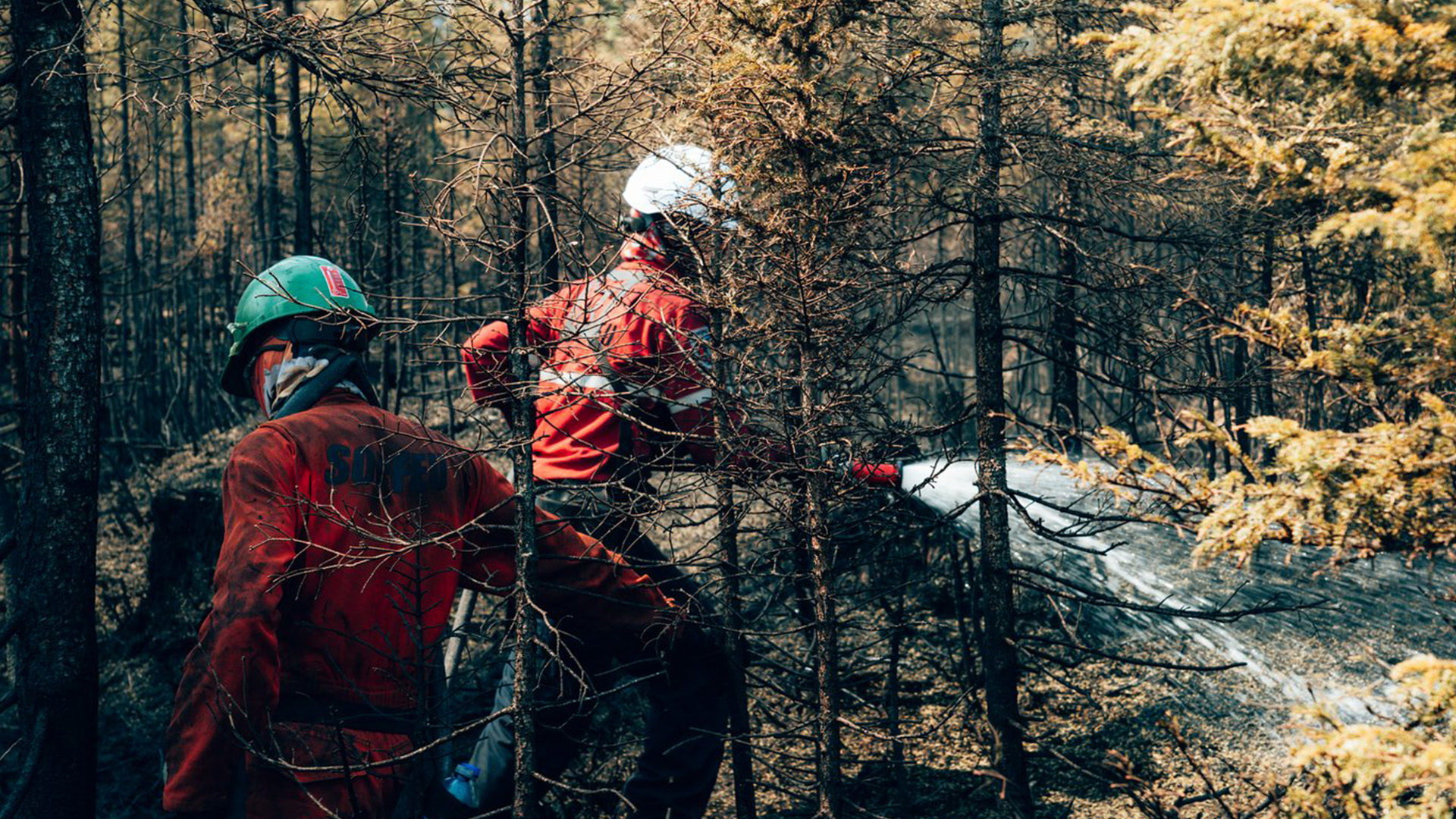 Des pompiers forestiers pulvérisent de l'eau sur des points chauds dans une forêt près du lac Waconichi, au Québec, sur une photo du 4 juin 2023.