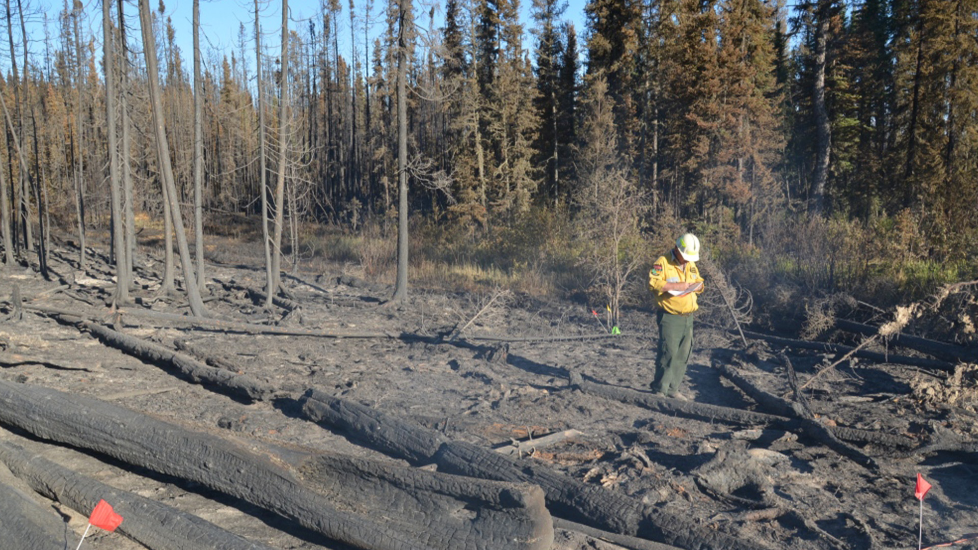 L'enquêteur des pompiers Jeff Henricks documente une scène en lien avec un feu de forêt.