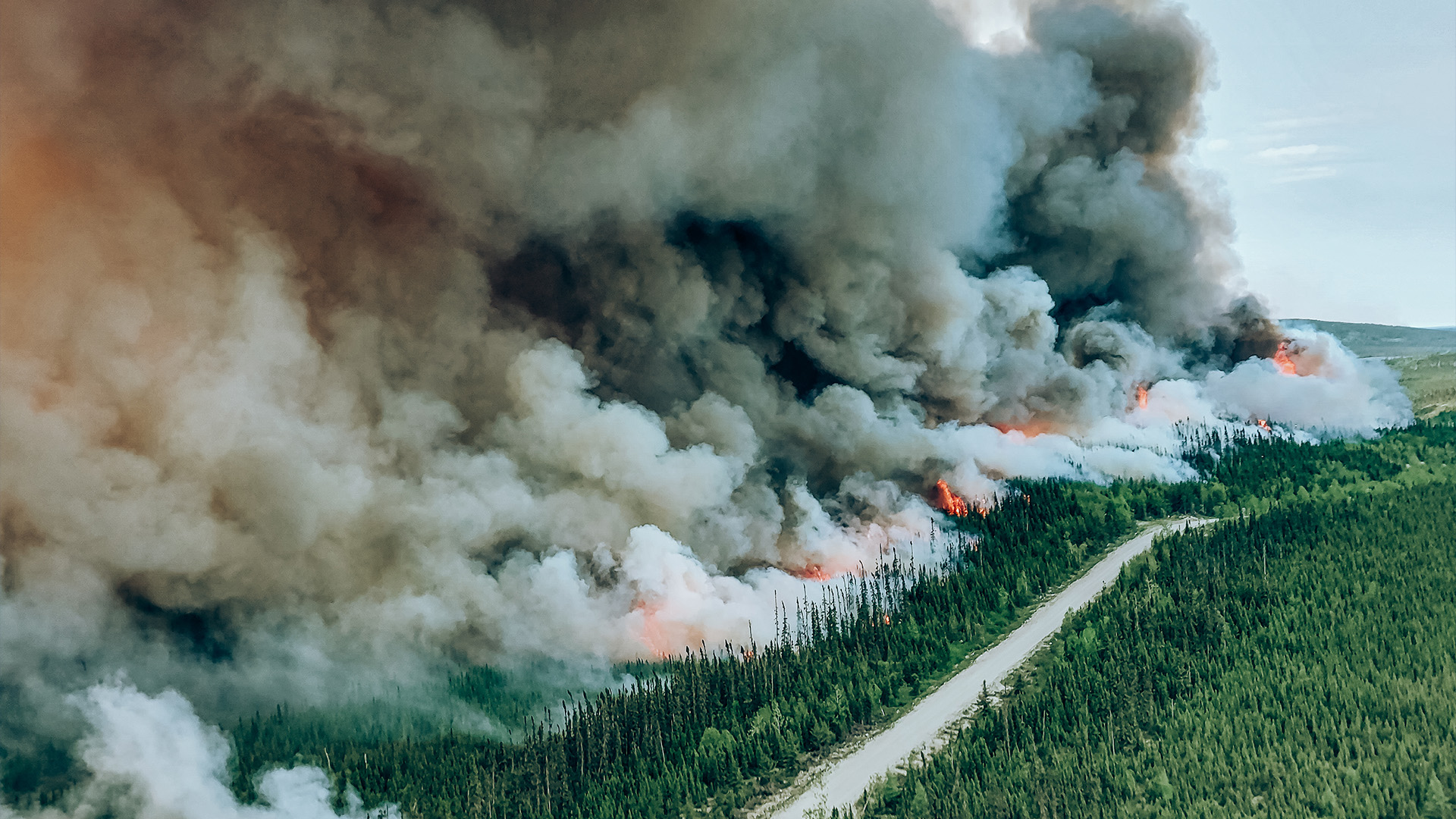 Un brûlage contrôlé est vu au bord d'un feu de forêt numéroté 334 près de Mistissini, au Québec, sur une photo du 6 juin 2023.