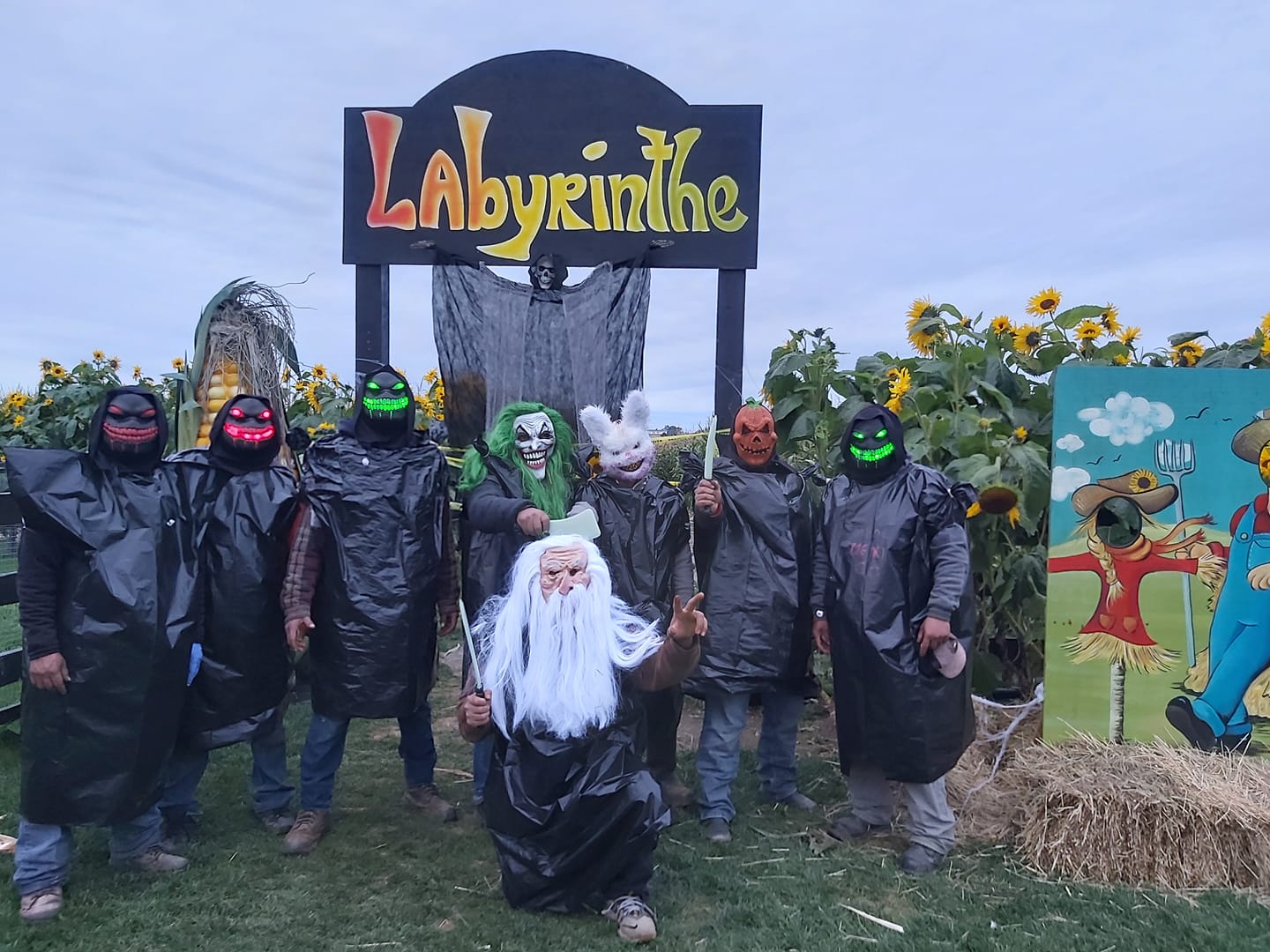 Le Labyrinthe Dhalloween Des Jardins Dalex Et Jennie Victime De Vandalisme Noovo Info