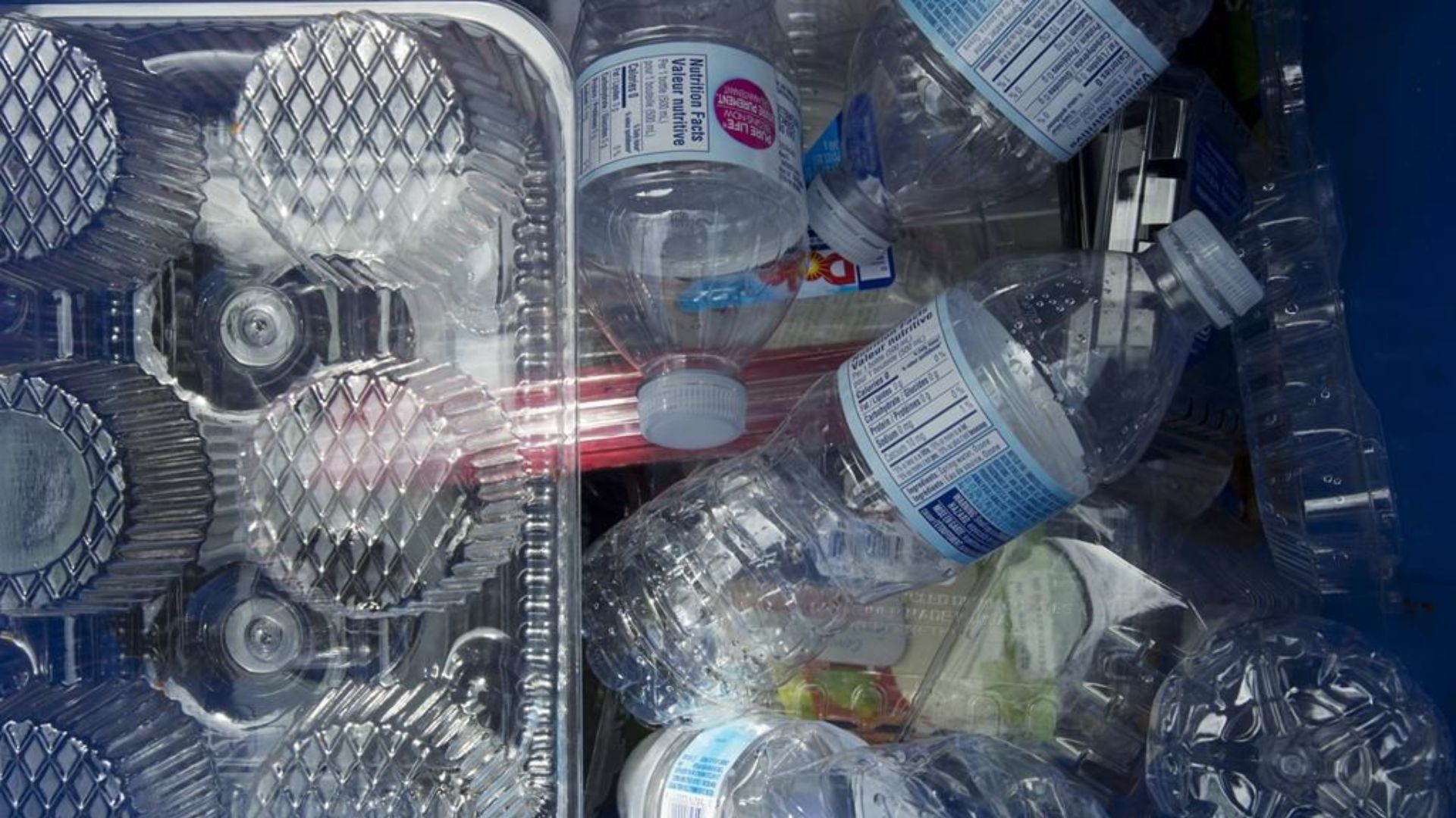 Les Canadiens ont jeté 4,4 millions de tonnes de déchets de plastique en 2019, dont seulement 9 % ont été recyclés. Le plastique cause des torts aux espaces naturels ainsi qu'aux espèces sauvages qu'ils abritent.