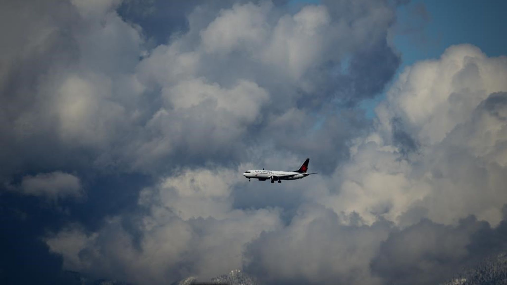 Air Canada dit que ses 40 appareils de la série 737-8 Max n'ont pas de porte de sortie à la mi-cabine, contrairement au 737-9 Max. Selon la compagnie, cela rend l'avion très sûr.