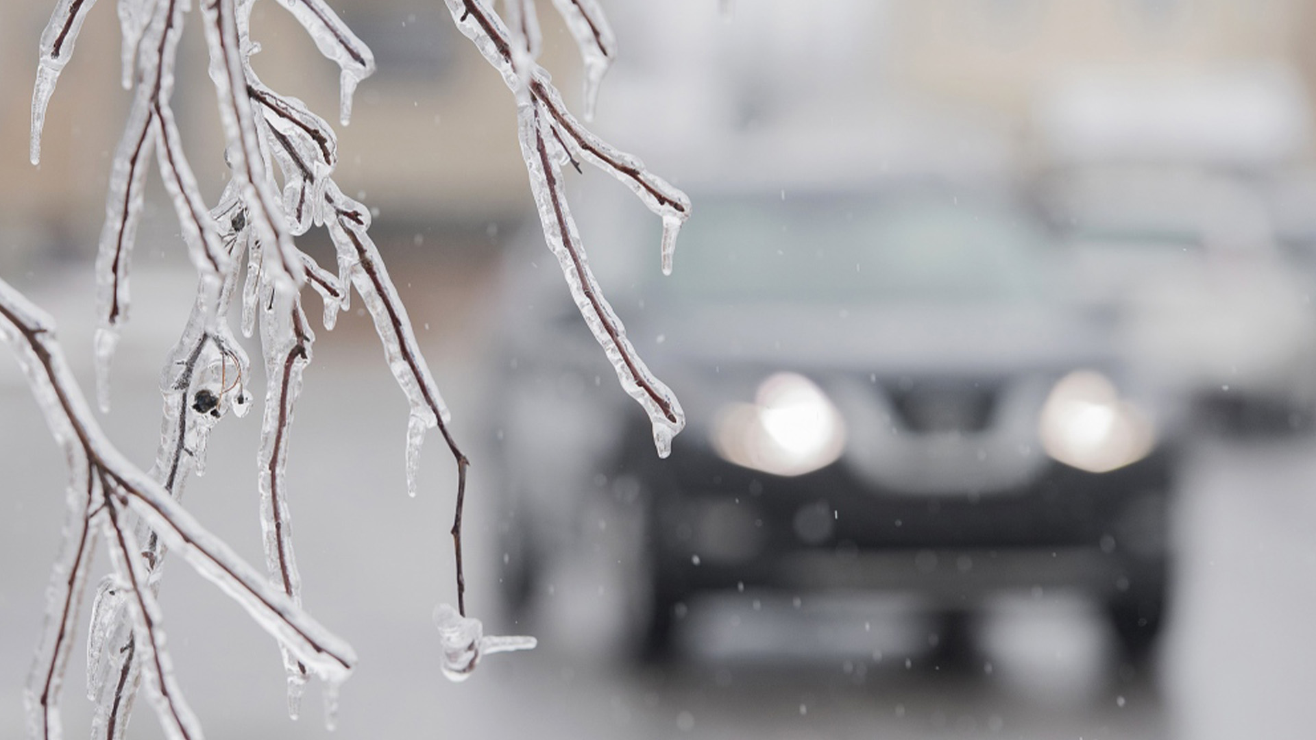  De la glace est visible sur la branche d'un arbre à la suite de pluies verglaçantes et de vents violents à Laval.