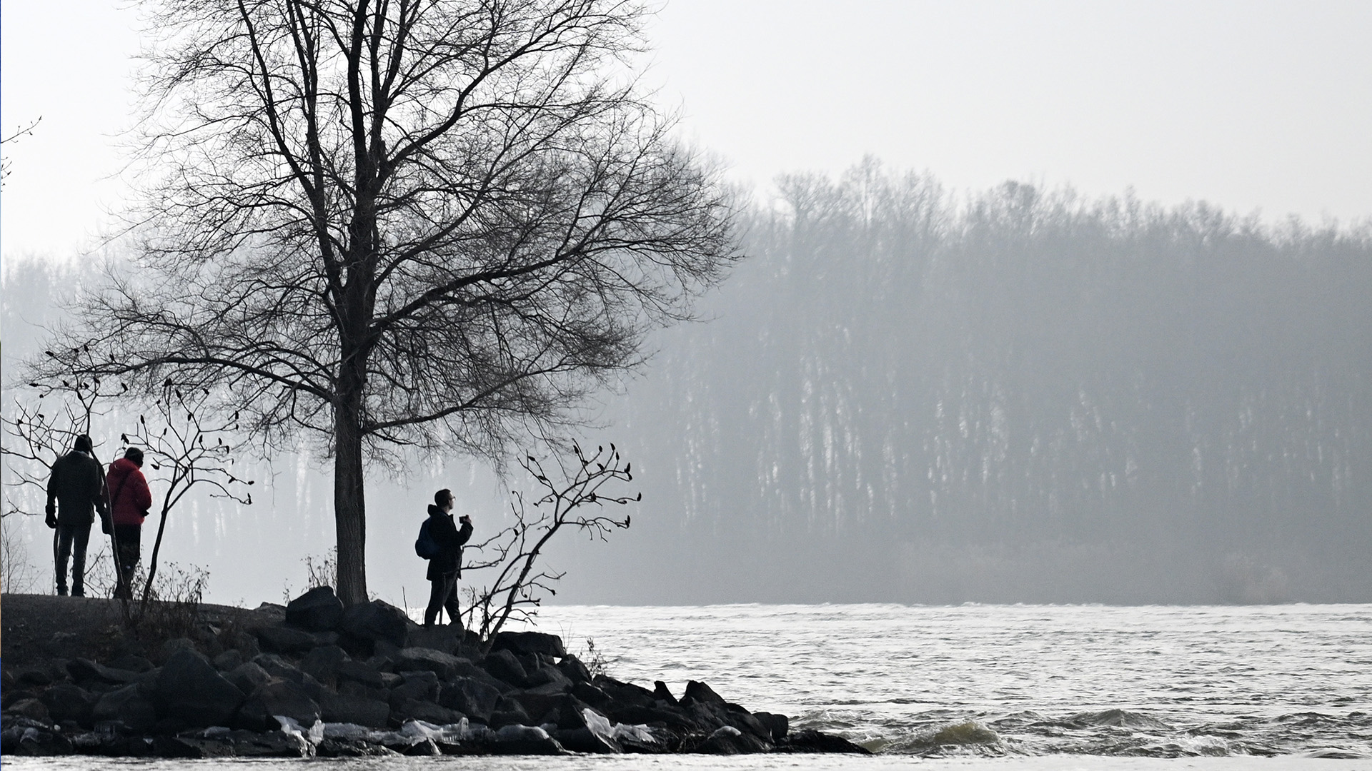 Des gens regardent le fleuve Saint-Laurent lors d'une douce journée de Noël à Montréal, le 25 décembre 2023. 