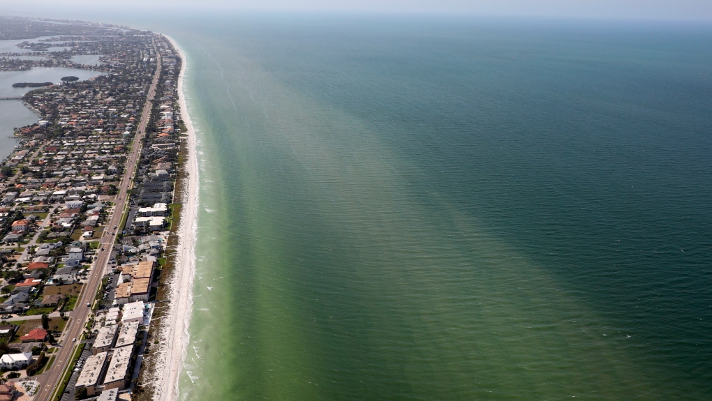 Les plages du comté de Pinellas en Floride le vendredi 10 mars 2023. 