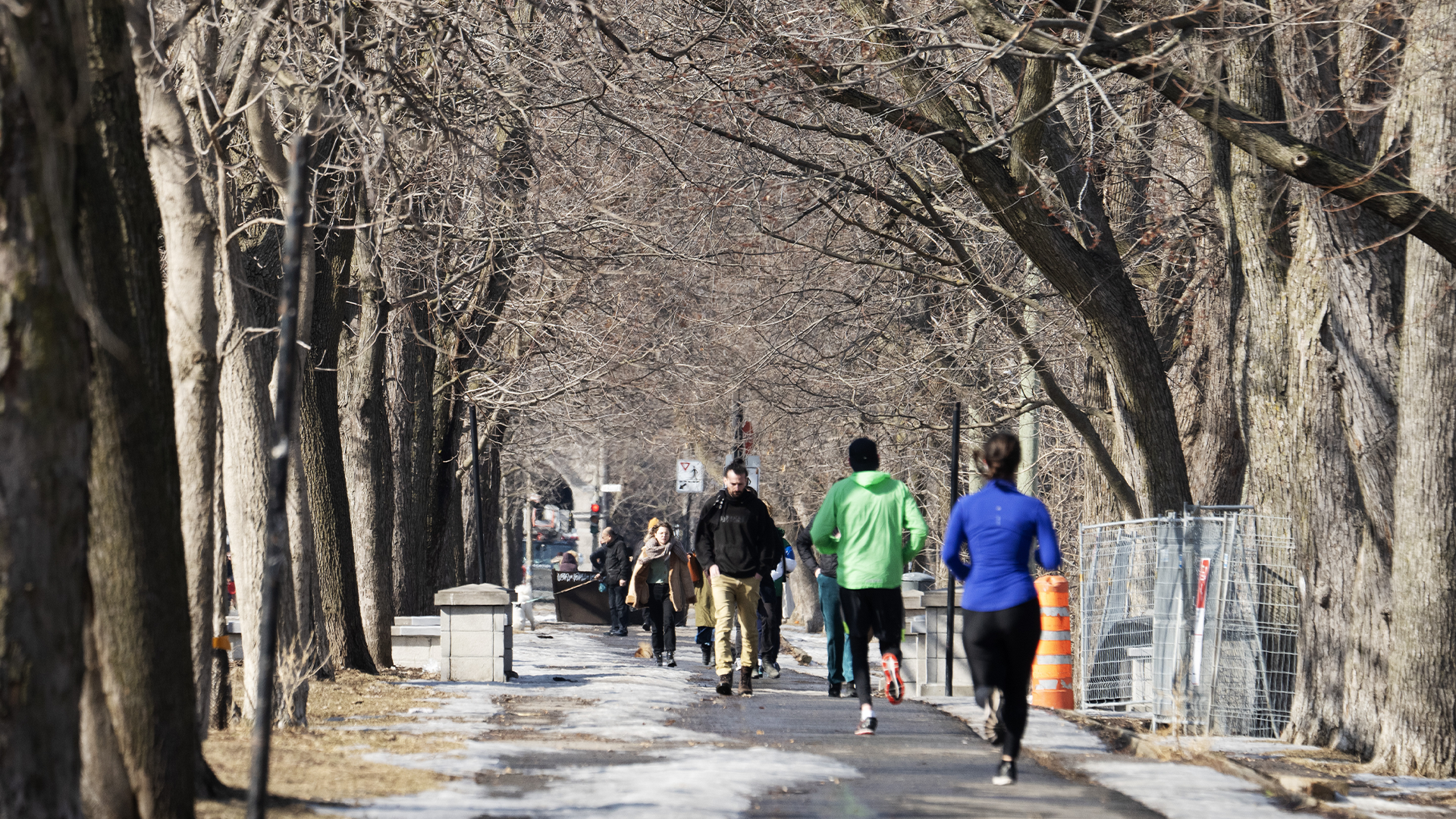 Des Montréalais profitent du parc Lafontaine, le 27 février.