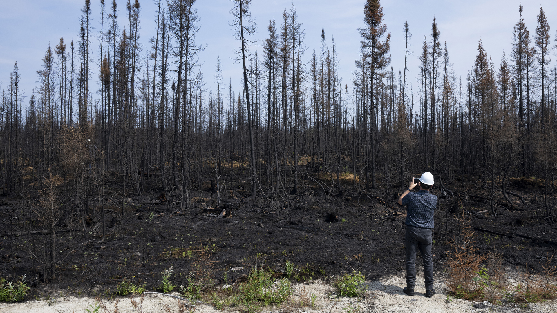Un journaliste prend une photo des arbres endommagés par le feu lors d'une visite près de Lebel-sur-Quevillon, au Québec, le mercredi 5 juillet 2023. L'agence de prévention des incendies de forêt du Québec affirme que la superficie brûlée par les incendies de forêt cette année a été plus importante que les 20 années précédentes combinées.