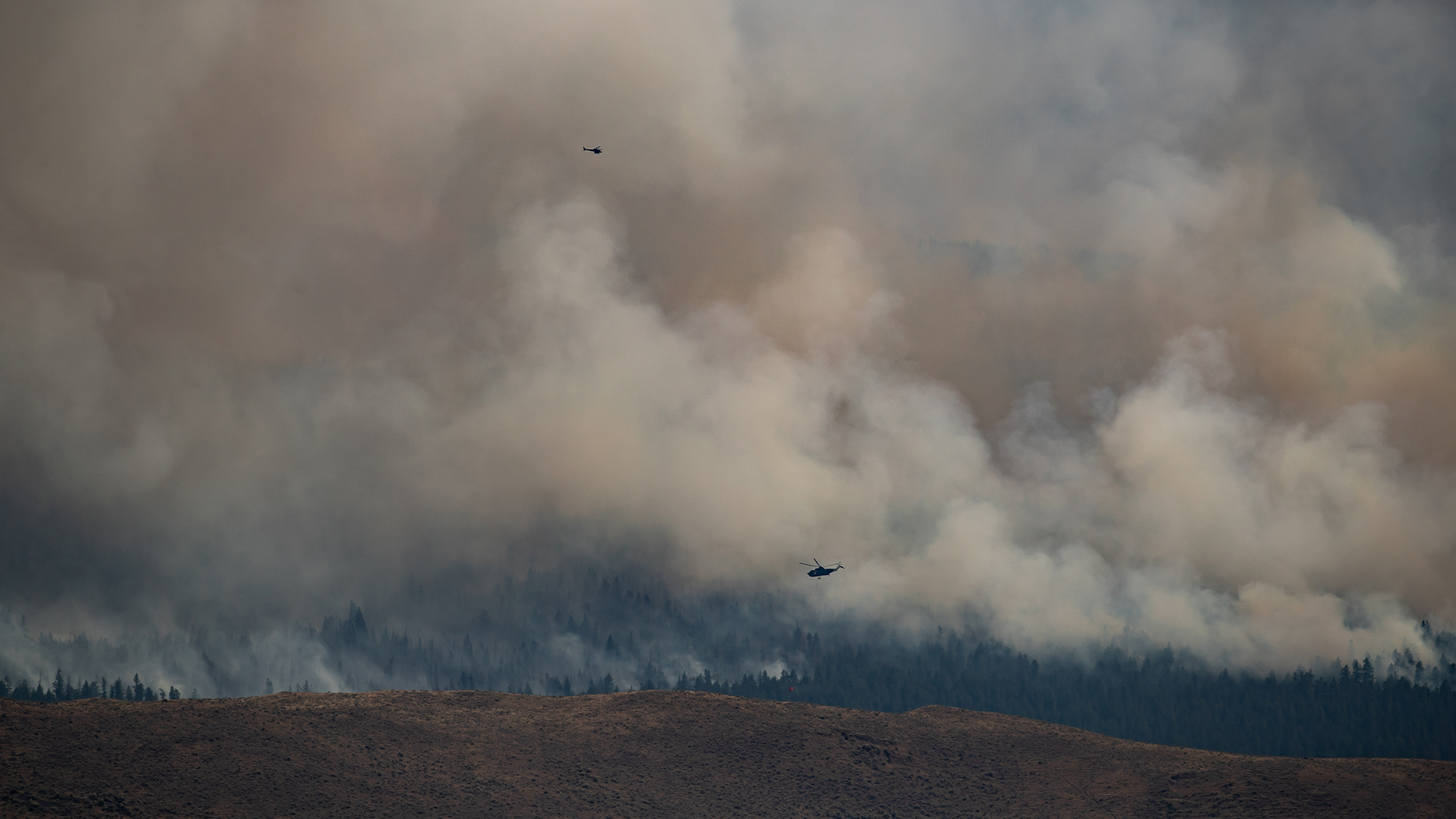 Un feu de forêt a fait rage à Ashcroft, en Colombie-Britannique, en juillet 2021.