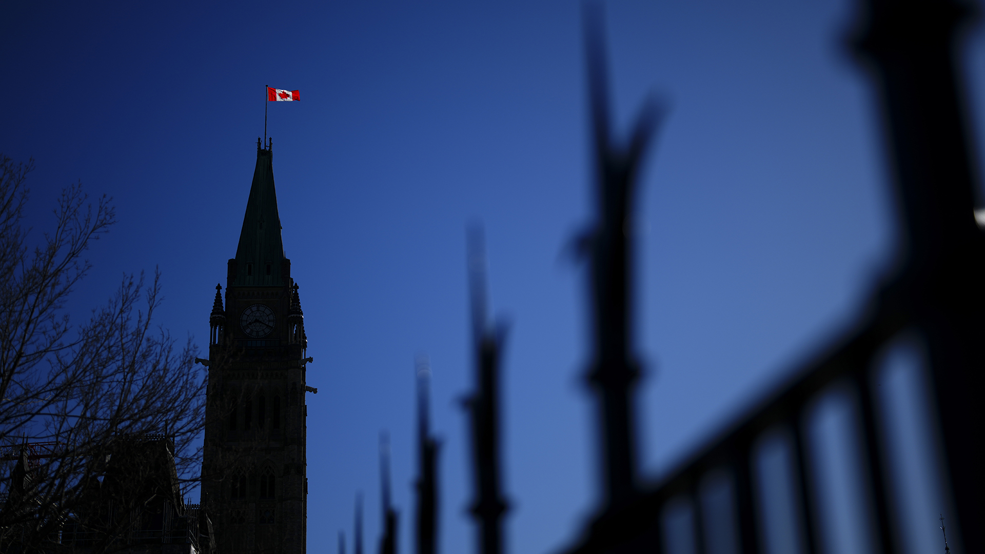 La relation du Canada avec sa diaspora se caractérise par un manque de soutien et d'attention.