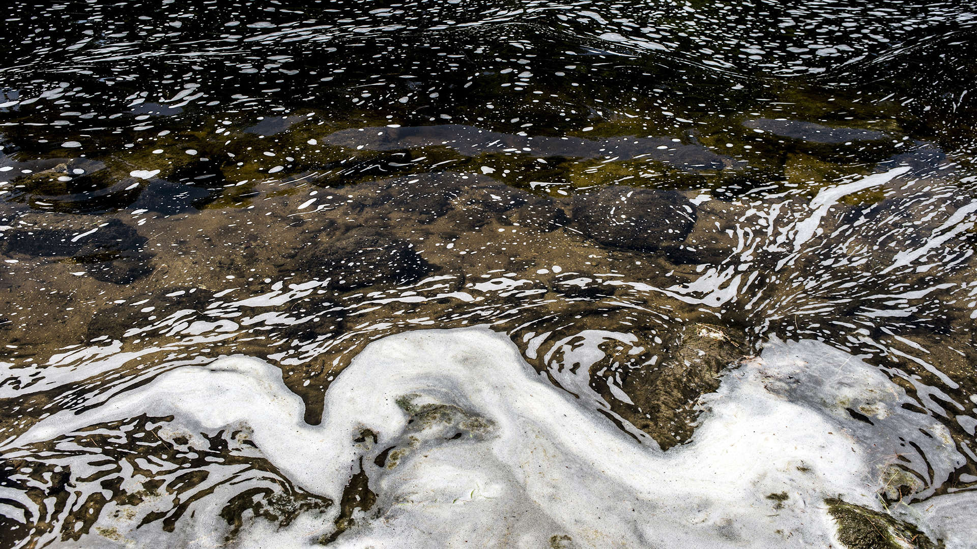 De la mousse de PFAS photographiée dans un plan d'eau au Michigan, en 2018.