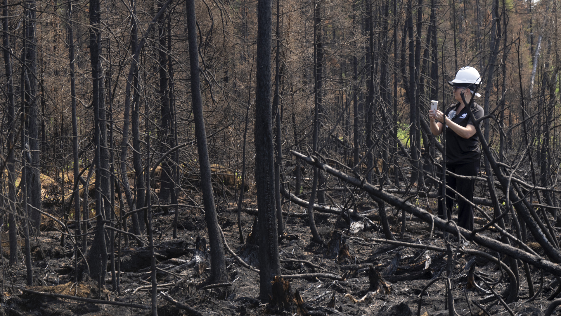 Une personne prend une photo des dommages causés par le feu dans une forêt près de Lebel-sur-Quevillon le mercredi 5 juillet 2023. 