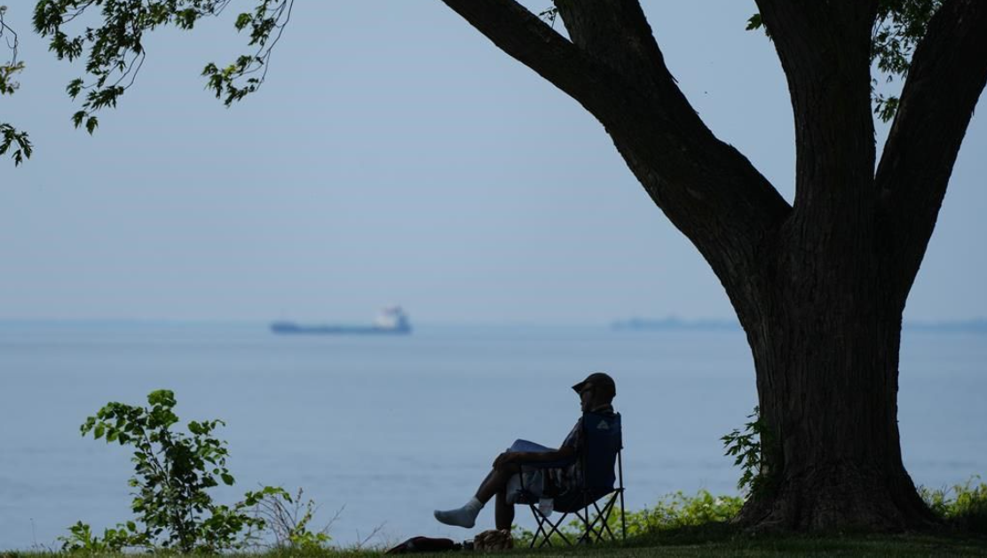 Un homme est assis sous un arbre dans l'arrondissement montréalais de Lachine, le mardi 18 juin 2024.