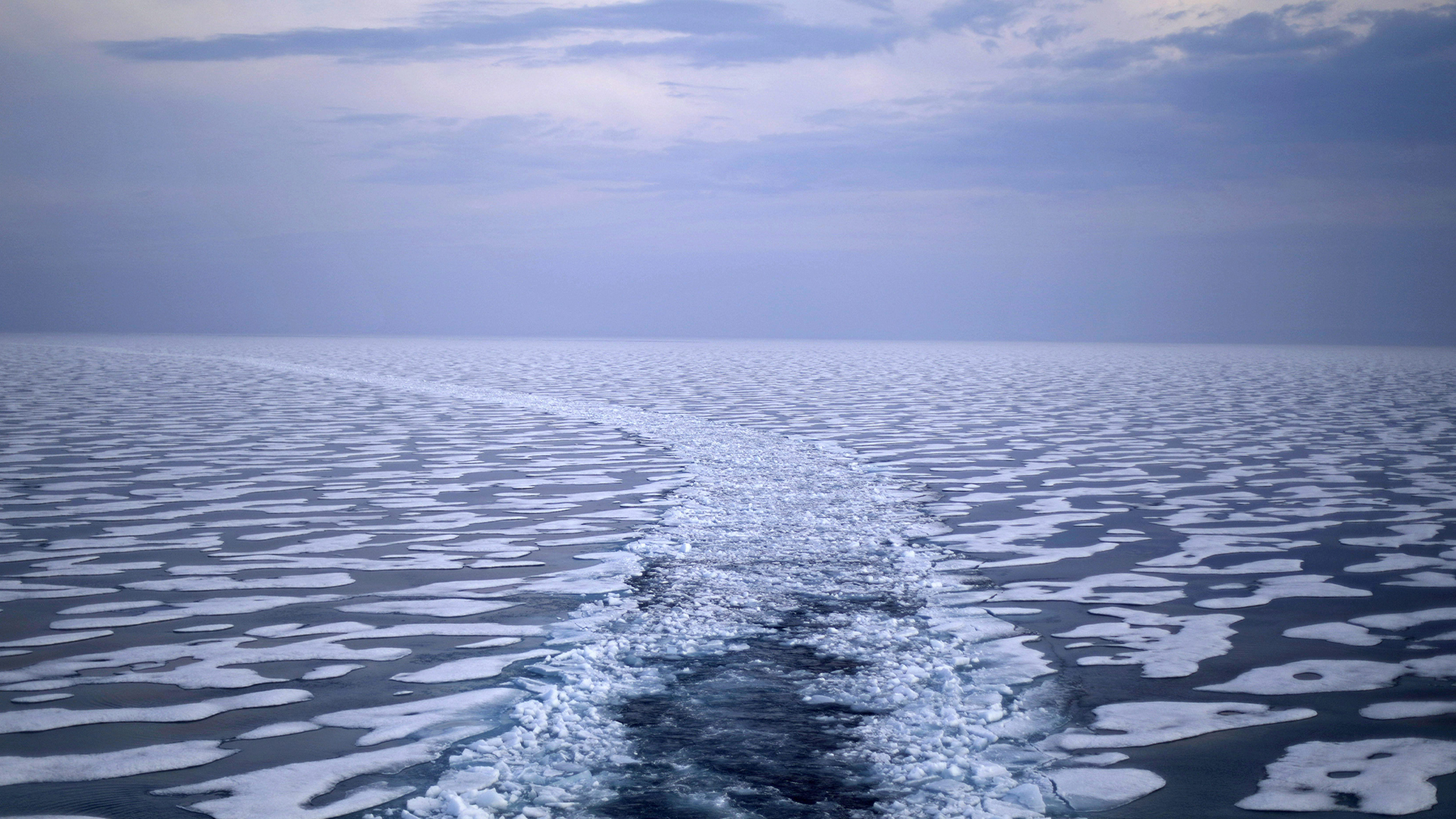 Un chemin dans la glace est laissé dans le sillage du brise-glace finlandais MSV Nordica alors qu'il traverse le passage du Nord-Ouest par le détroit de Franklin dans l'archipel arctique canadien, le samedi 22 juillet 2017. 