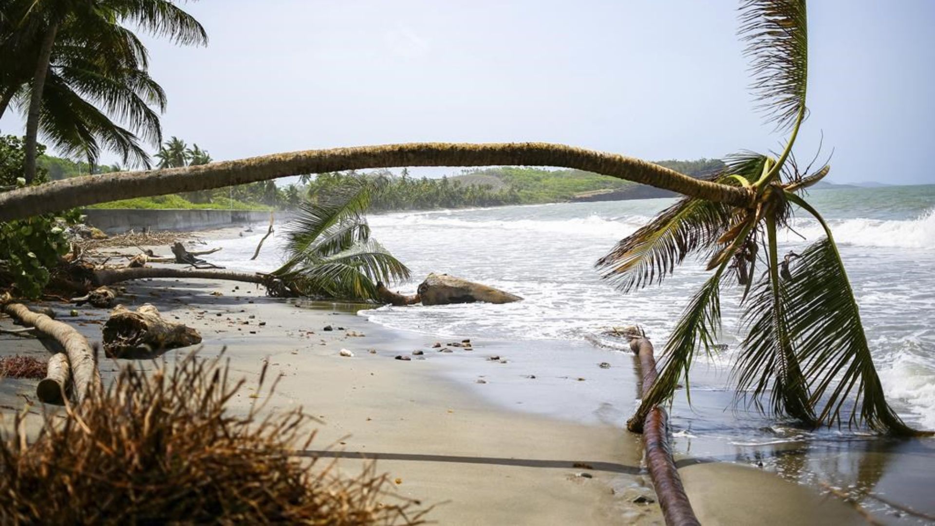 L'ouragan Béryl a fait au moins neuf morts.