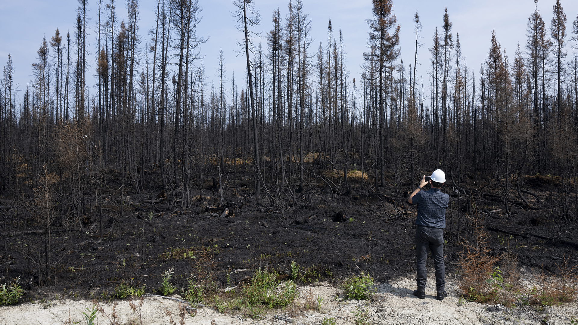 Archives | Un reporter prend une photo des forêts endommagées par le feu lors d'une visite près de Lebel-sur-Quevillon le mercredi 5 juillet 2023.