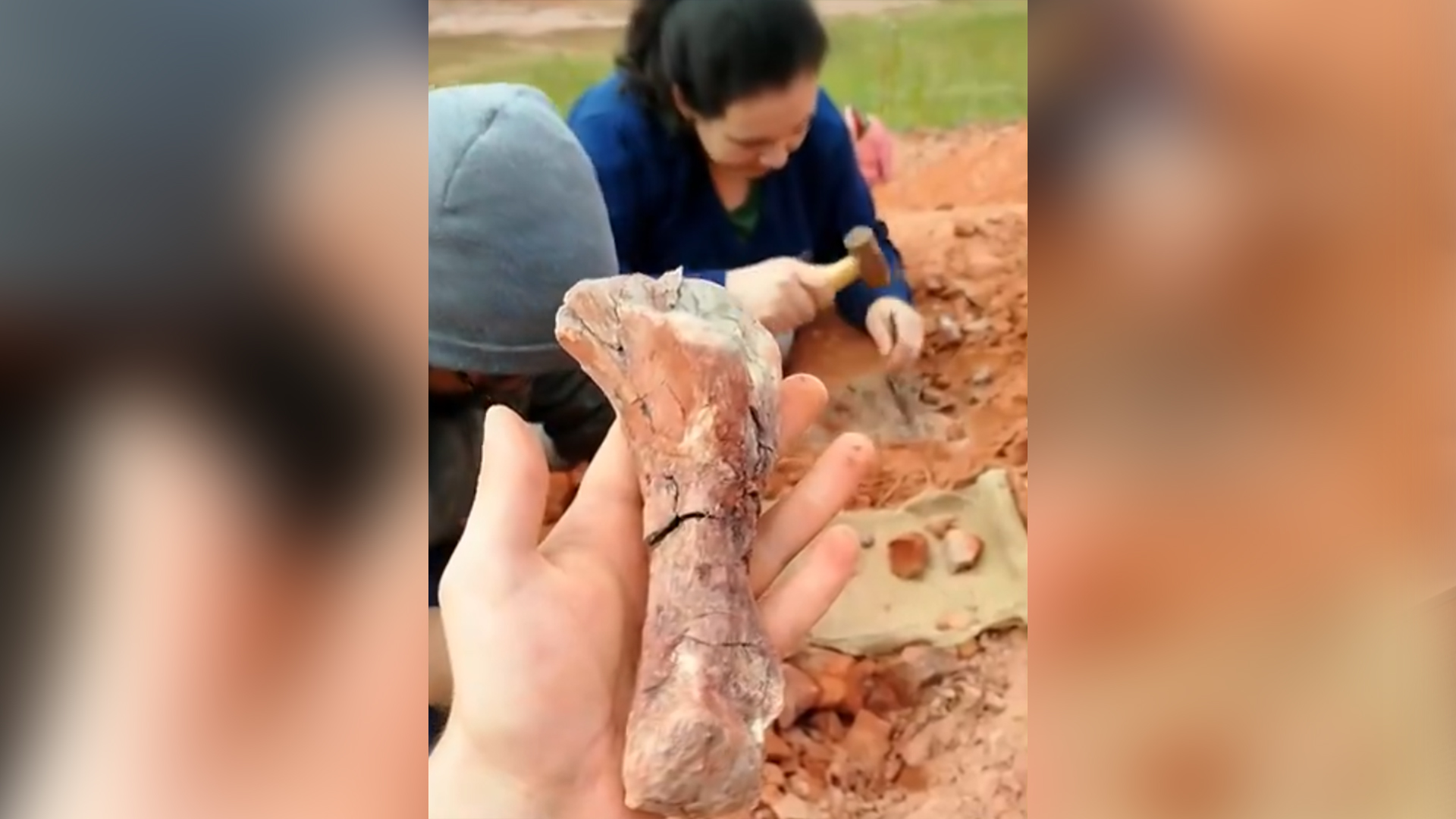 Fóssil de ‘um dos dinossauros mais antigos do mundo’ é descoberto no Brasil