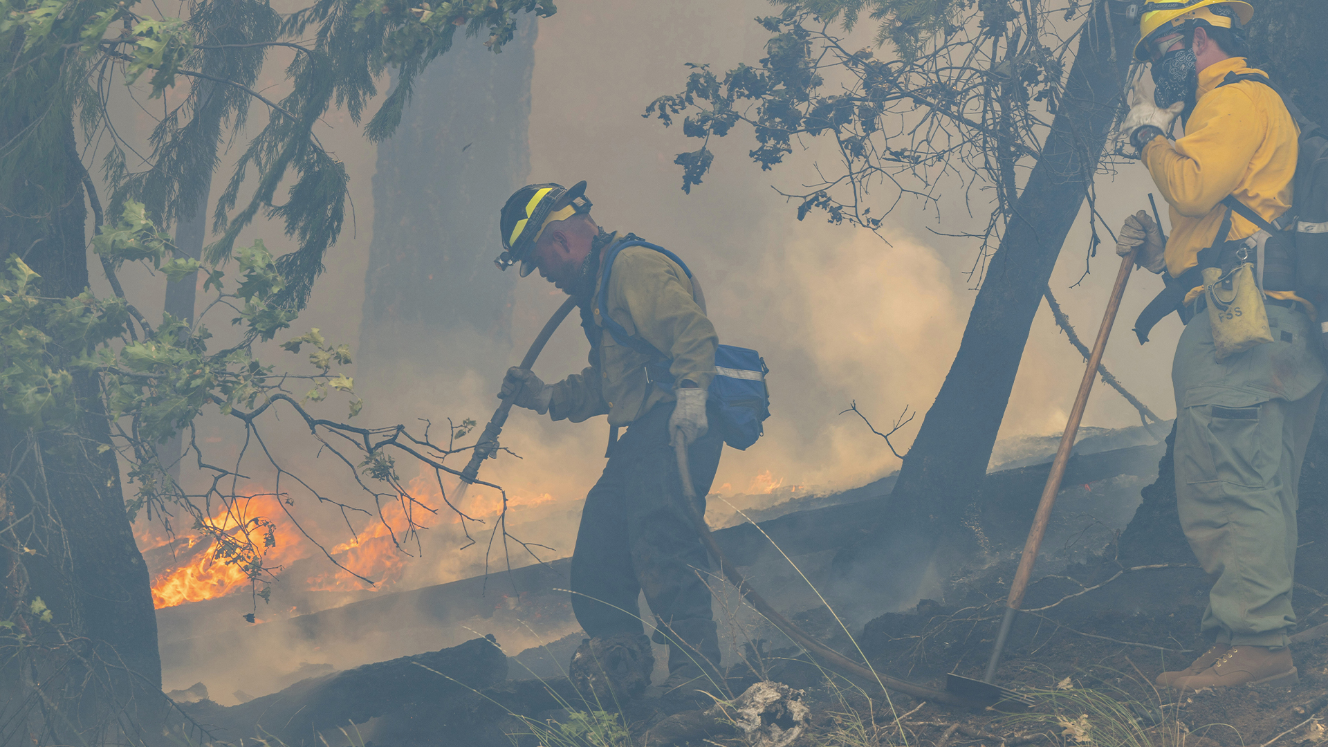 Les équipes de pompiers combattent l'incendie surnommée Park Fire, le long de l'autoroute 32 près de Forest Ranch, en Californie, le dimanche 28 juillet 2024.