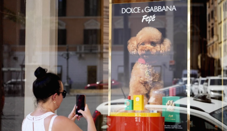 Le nouveau parfum pour chien de Dolce et Gabbana, appelé «Fefé» en l'honneur du chien de Domenico Dolce et sorti au début du mois, est présenté dans la vitrine de la boutique de la marque de mode à Rome, mardi 6 août 2024. 