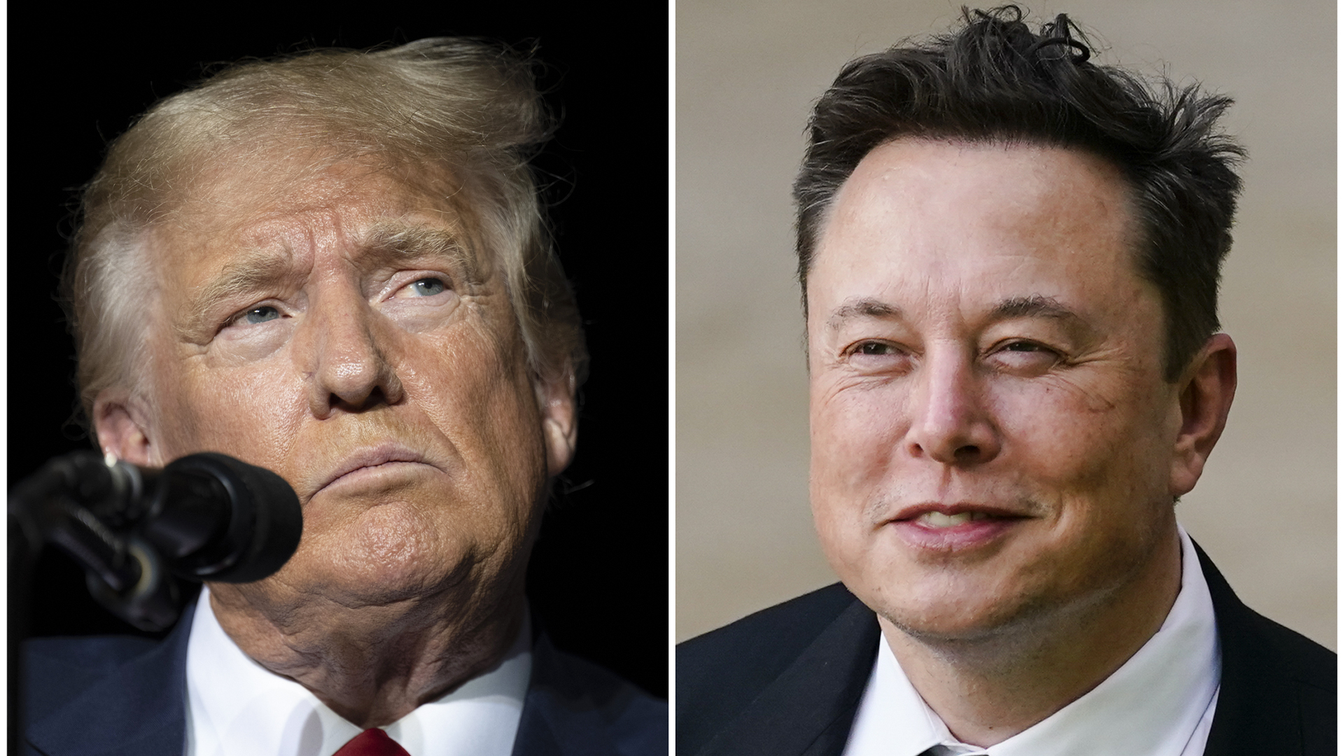 Cette combinaison de photos montre l'ancien président Donald Trump lors d'un rassemblement à Minden (Nevada) le 8 octobre 2022 (à gauche) et Elon Musk à Wilmington (Delhi) le 12 juillet 2021. 