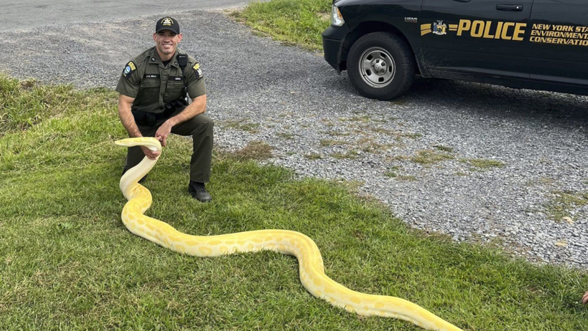 L'agent Jeff Hull est intervenu et a trouvé le serpent dans un aquarium.