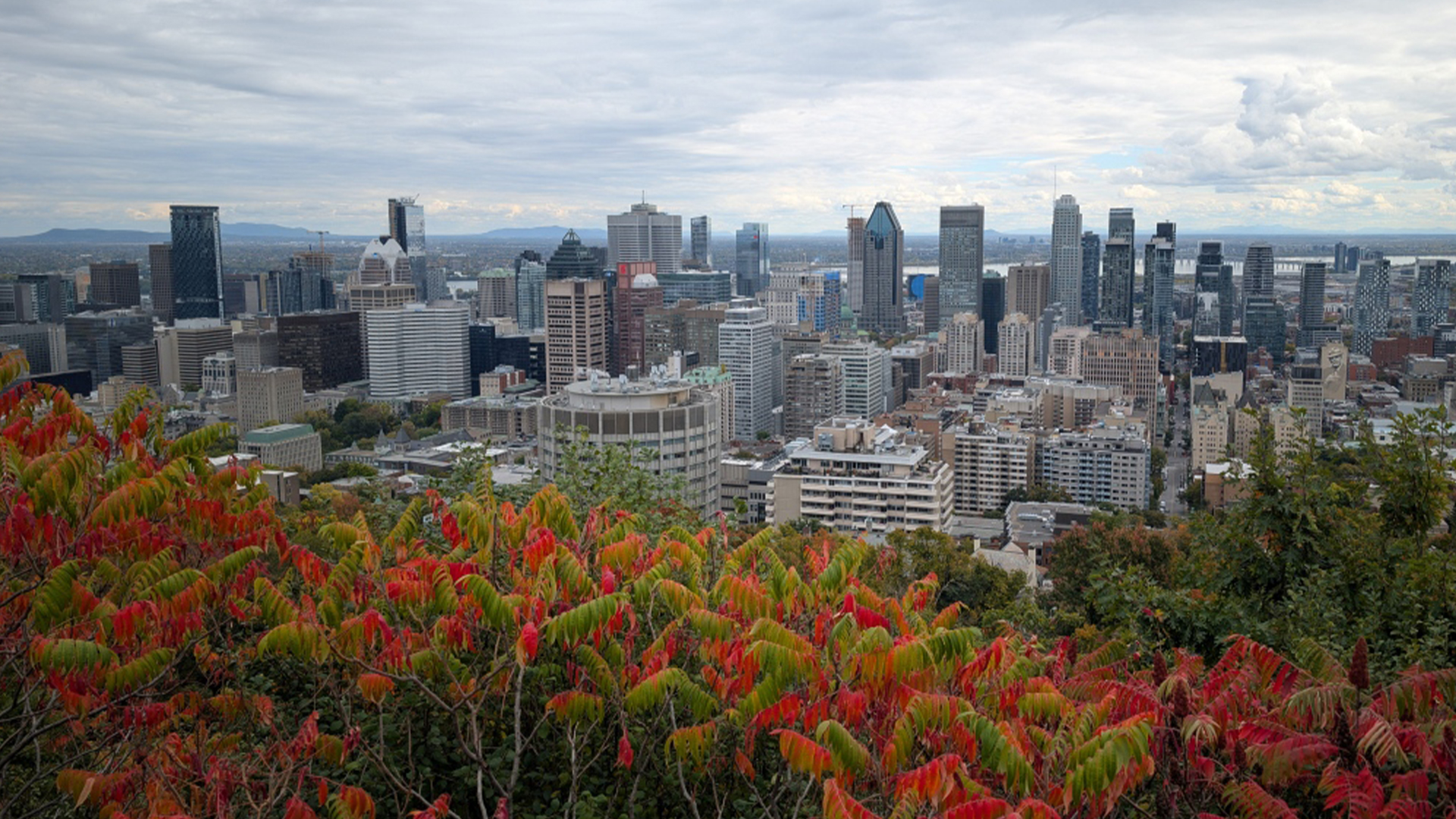 Une vue de Montréal depuis le Mont-Royal le mardi 8 octobre 2024.