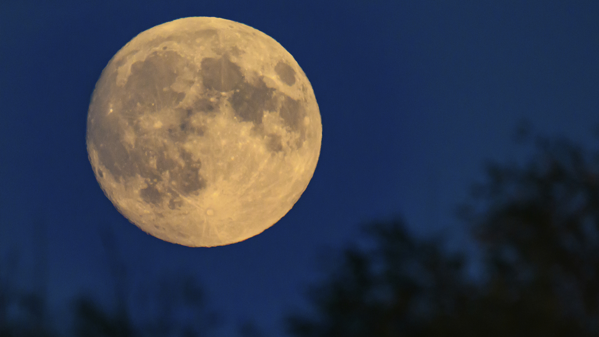 La lune brille dans le ciel du soir au-dessus de Lietzen, en Allemagne, mercredi 16 octobre 2024.