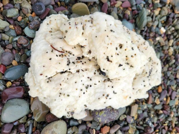 Une masse blanche d'origine inconnue trouvée sur une plage de Terre-Neuve à l'automne 2024.