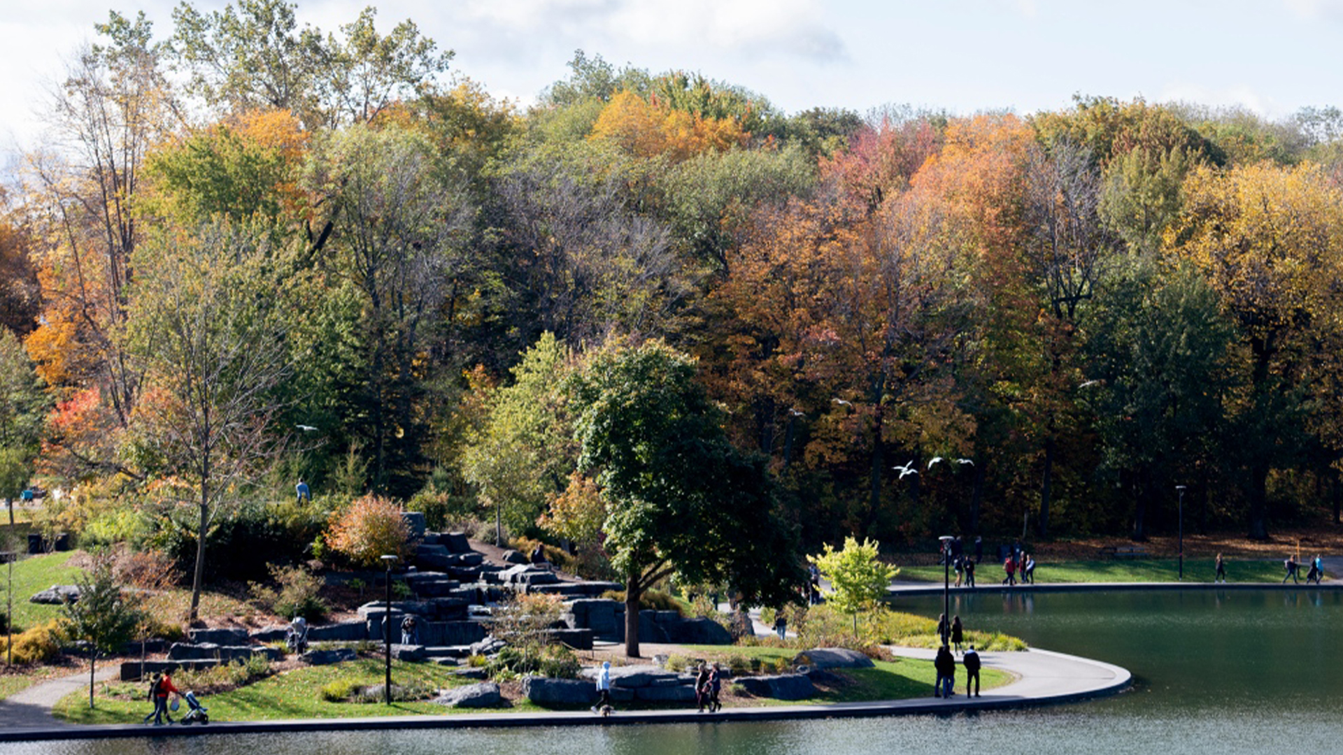 Des gens sont montrés sur le Mont Royal par une douce journée d'automne à Montréal.