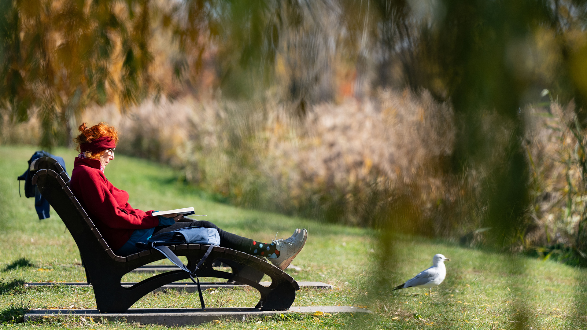 Une femme lit dans un parc à Montréal, jeudi 24 octobre 2024.