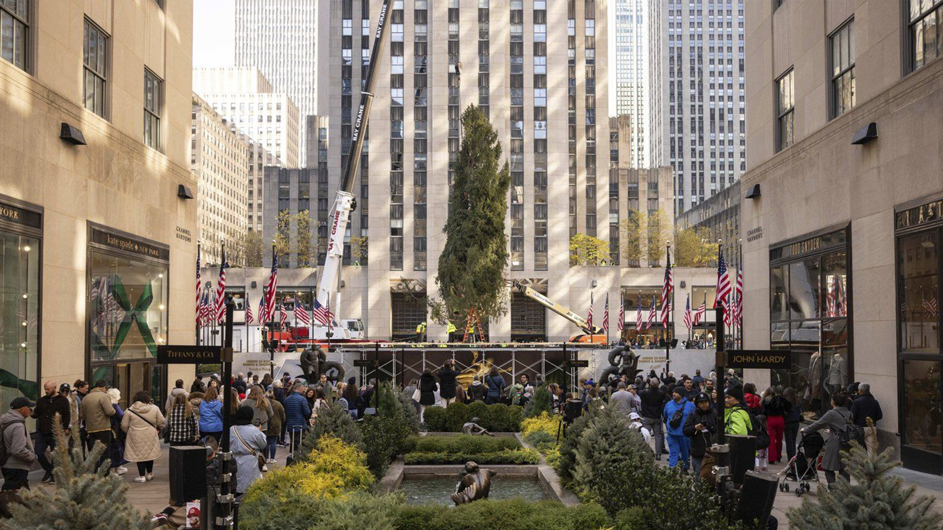 The Christmas tree arrived at New York’s Rockefeller Center on Saturday