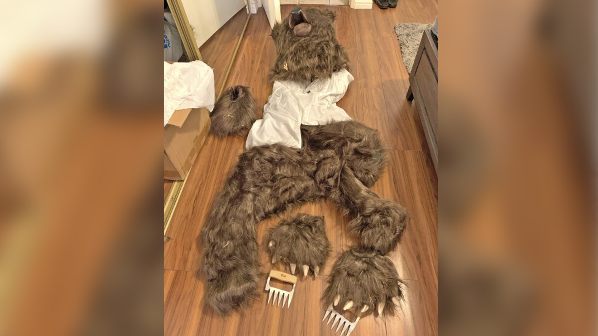 Damaged luxury cars: They use a bear costume to scam insurance companies