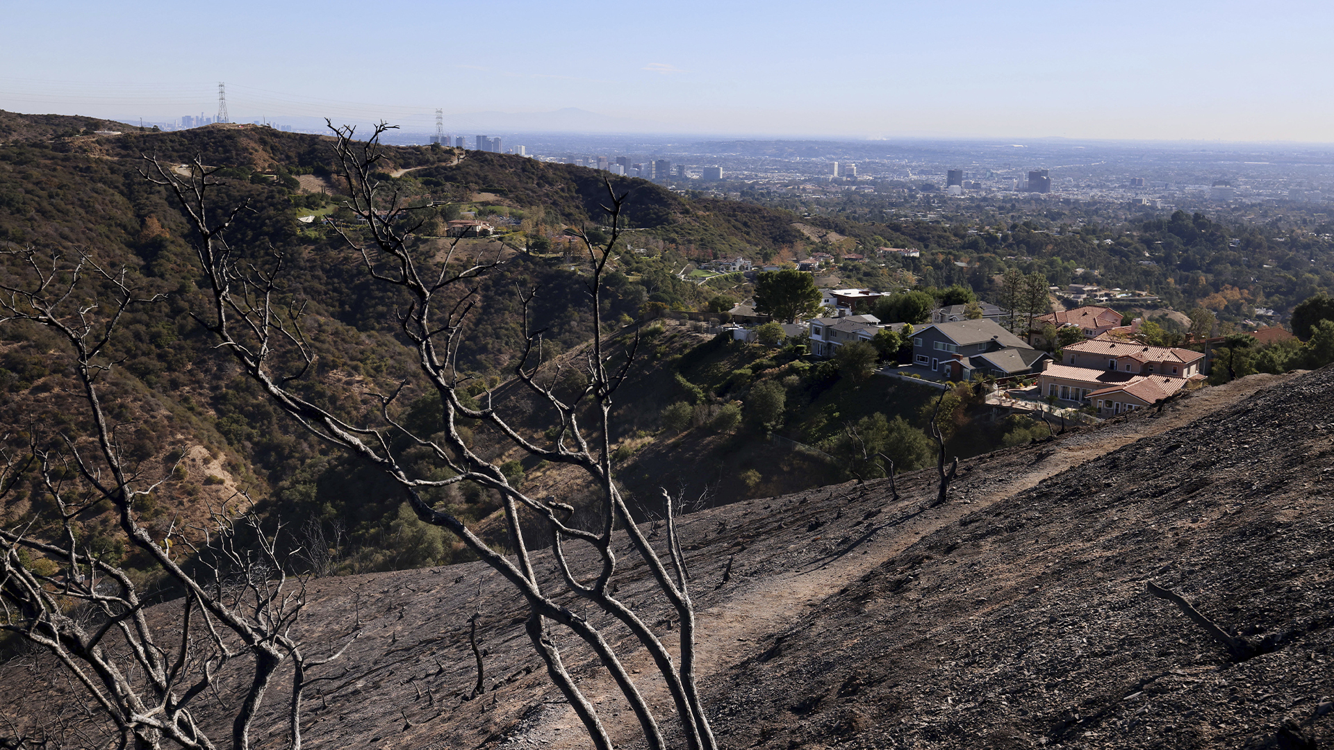 Une colline brûlée à la suite de l'incendie de Palisades dans le canyon de Mandeville, mardi 14 janvier 2025, à Los Angeles.