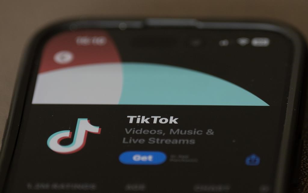 TikTok denies being controlled by China, one of its directors tells Parliament