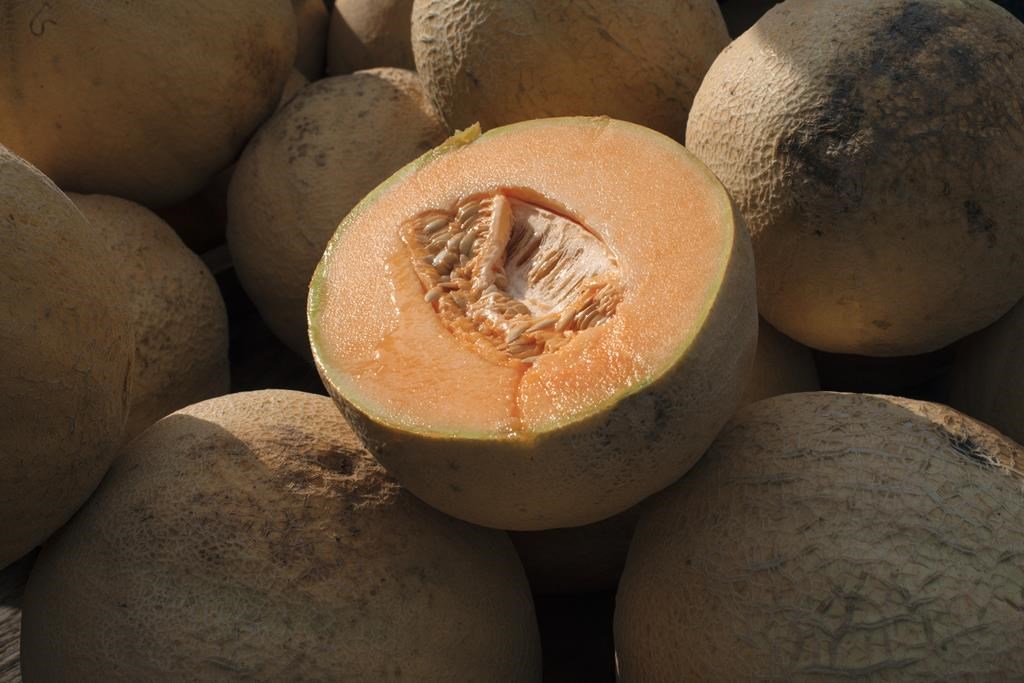 Cantaloupes are displayed for sale in Virginia on Saturday, July 28, 2017. The Public Health Agency of Canada says the death toll has risen to five in a salmonella outbreak linked to Malichita and Rudy brand cantaloupes. THE CANADIAN PRESS/AP-J. Scott Applewhite